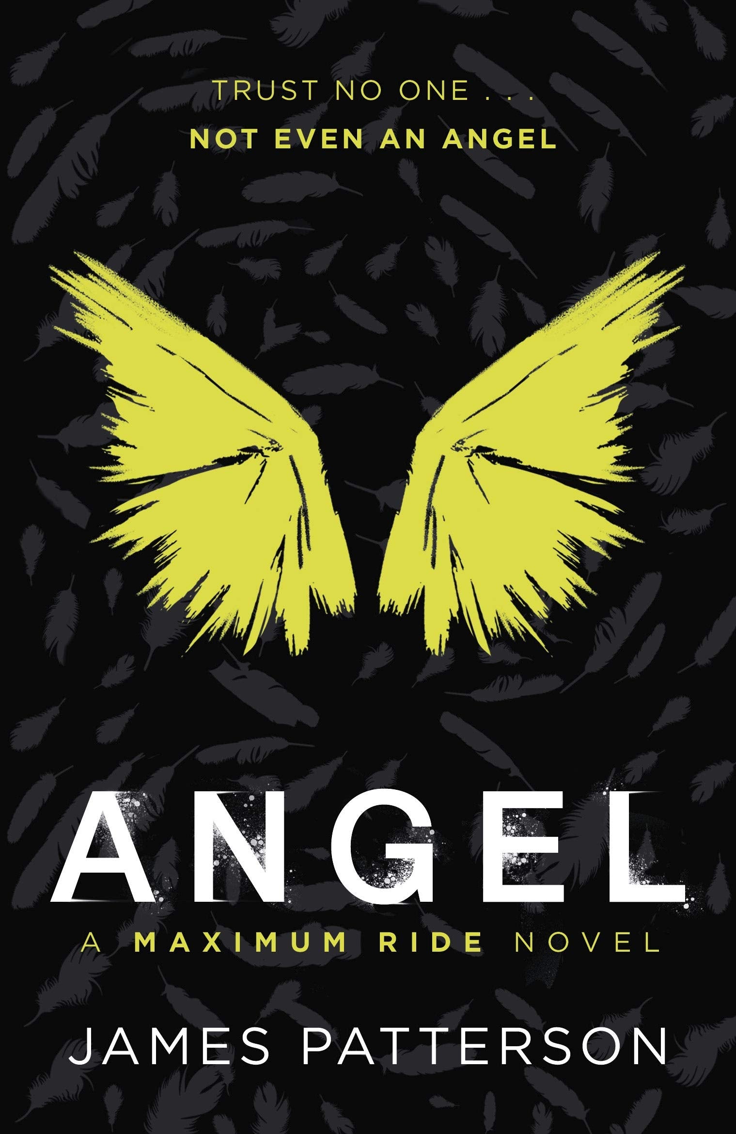 Angel: A Maximum Ride Novel Action & Adventure