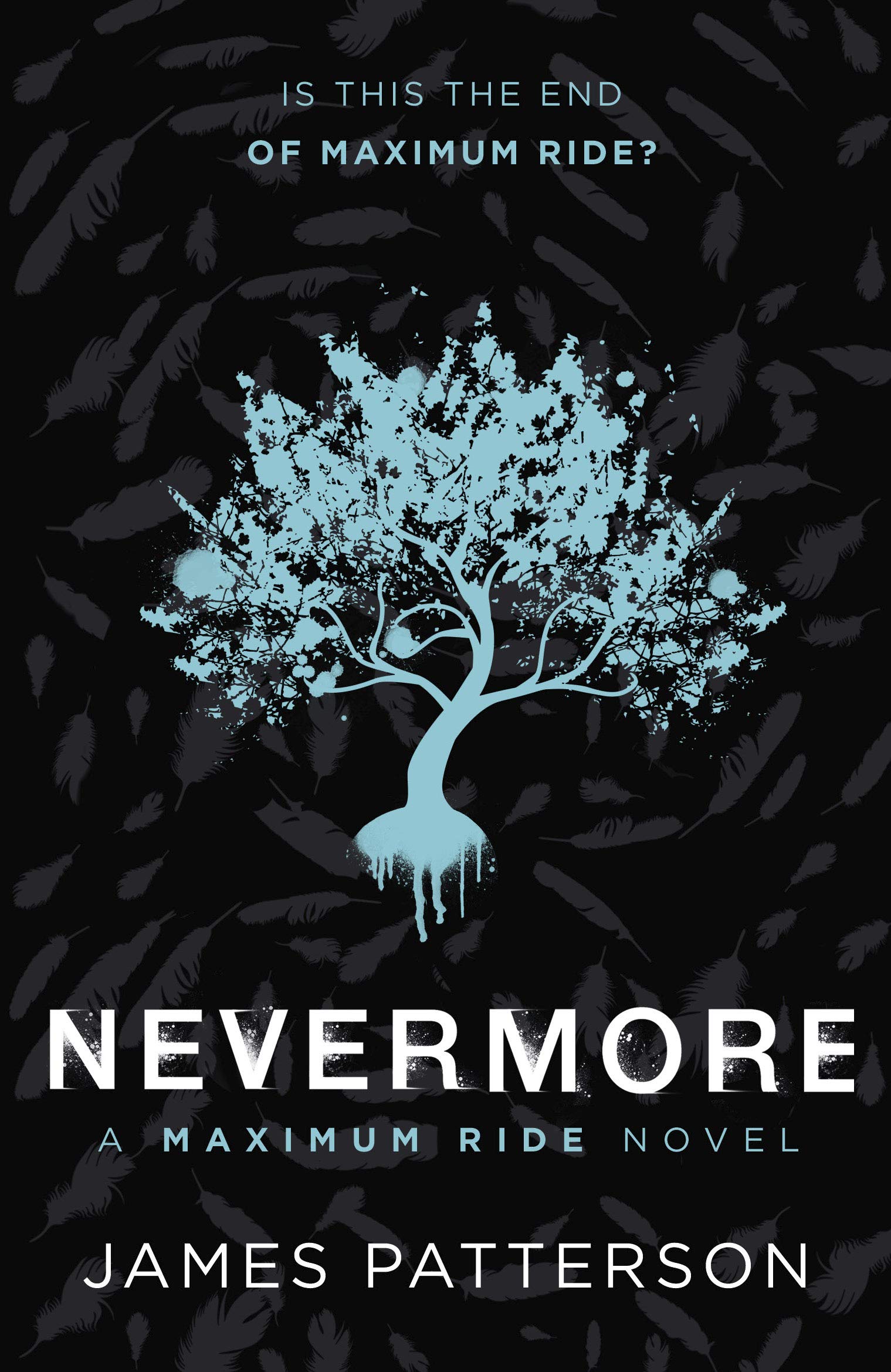 Product Image: Nevermore: A Maximum Ride Novel