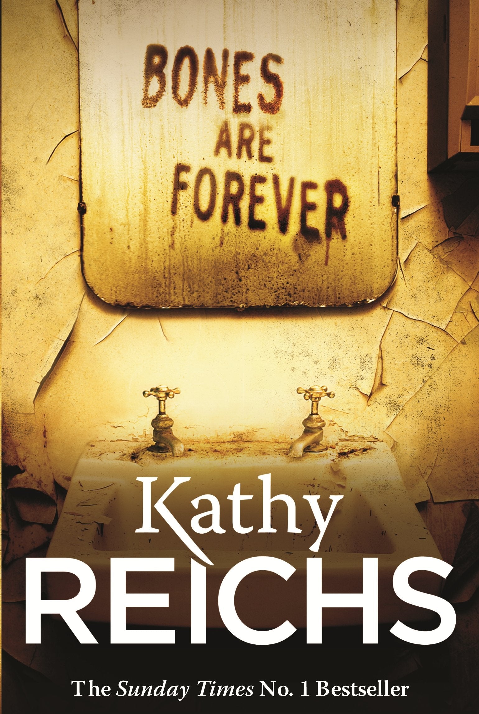 Bones Are Forever: (Temperance Brennan 15) Contemporary literature