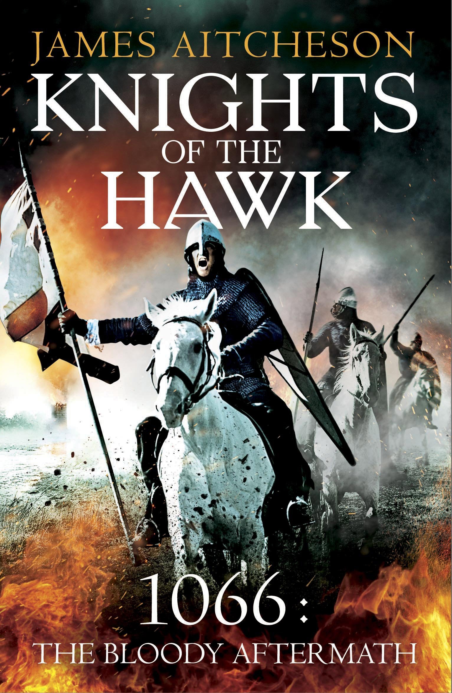 Knights of the Hawk Historical Fiction