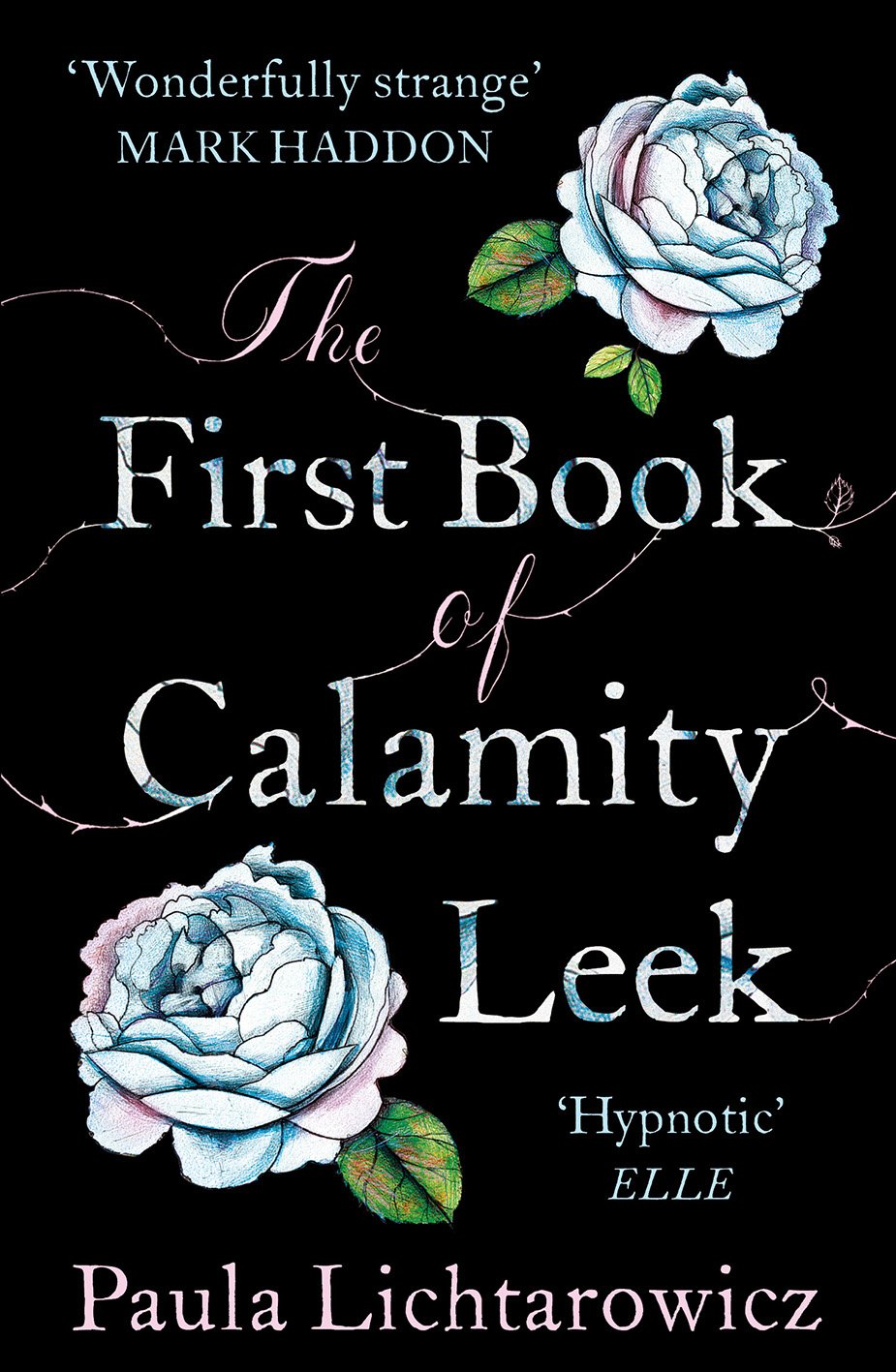 The First Book of Calamity Leek Contemporary literature