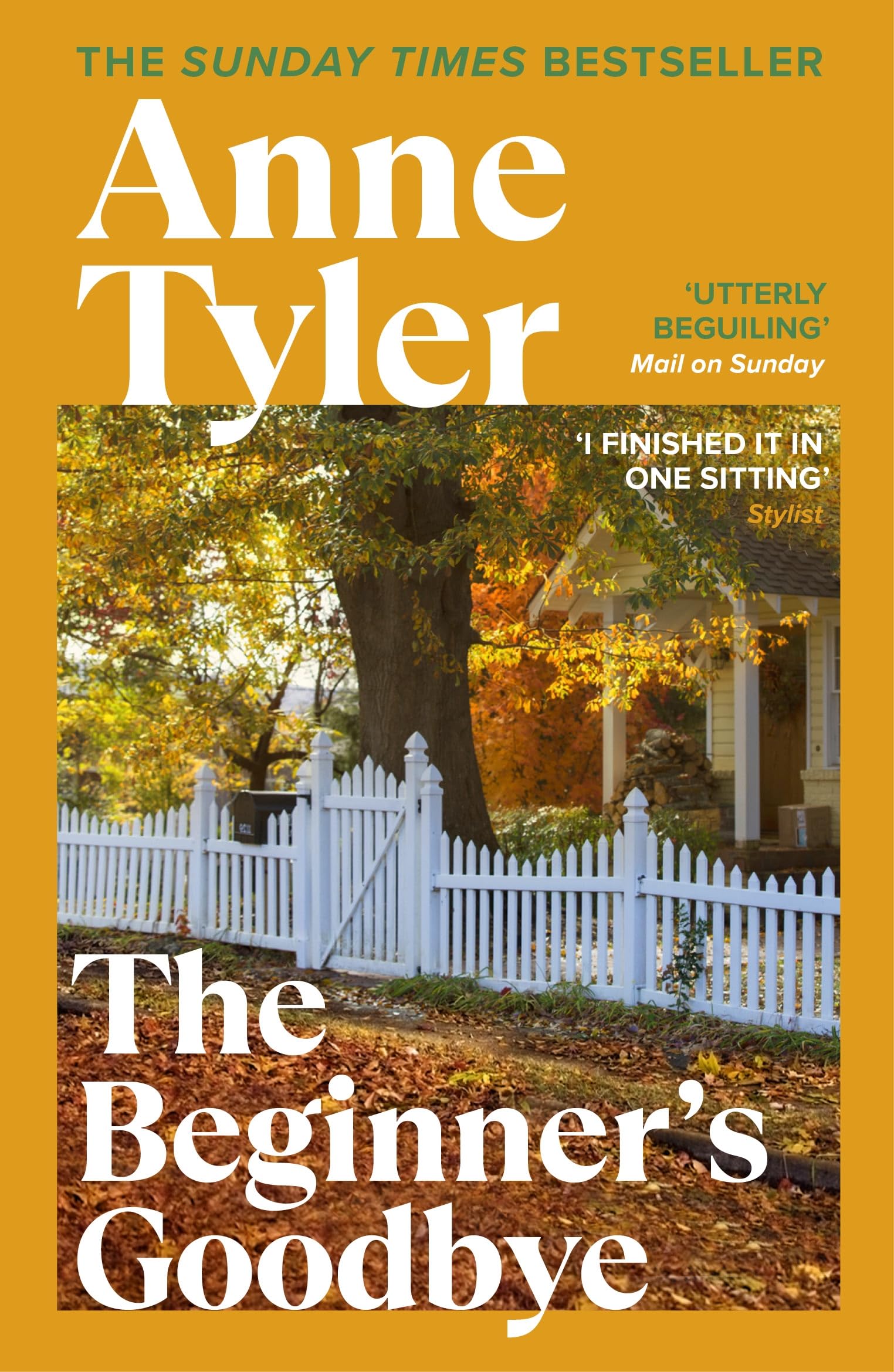 The Beginner's Goodbye Contemporary literature Books