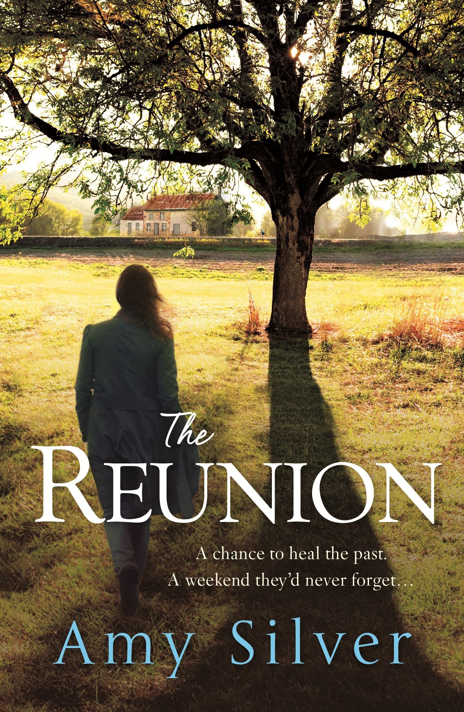 The Reunion Contemporary literature Books
