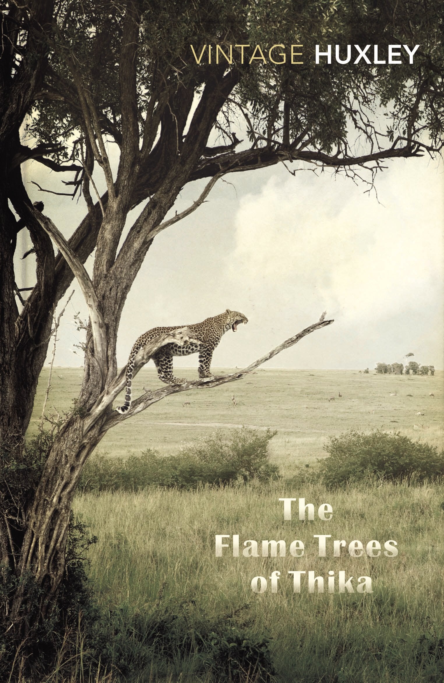 The Flame Trees Of Thika: Memories of an African Childhood Essays & Short Stories
