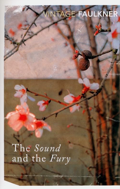 The Sound And The Fury Books