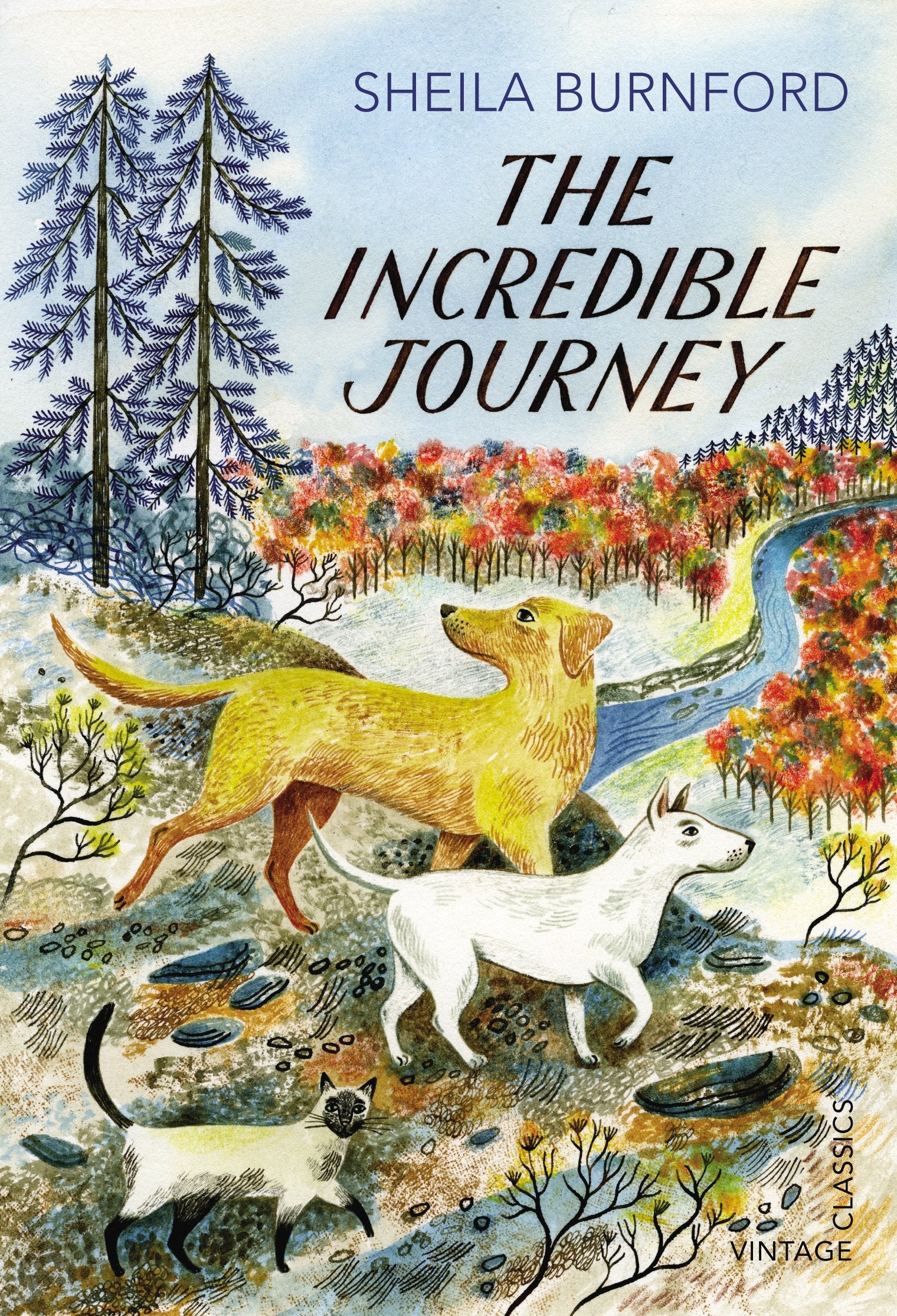 Product Image: The Incredible Journey