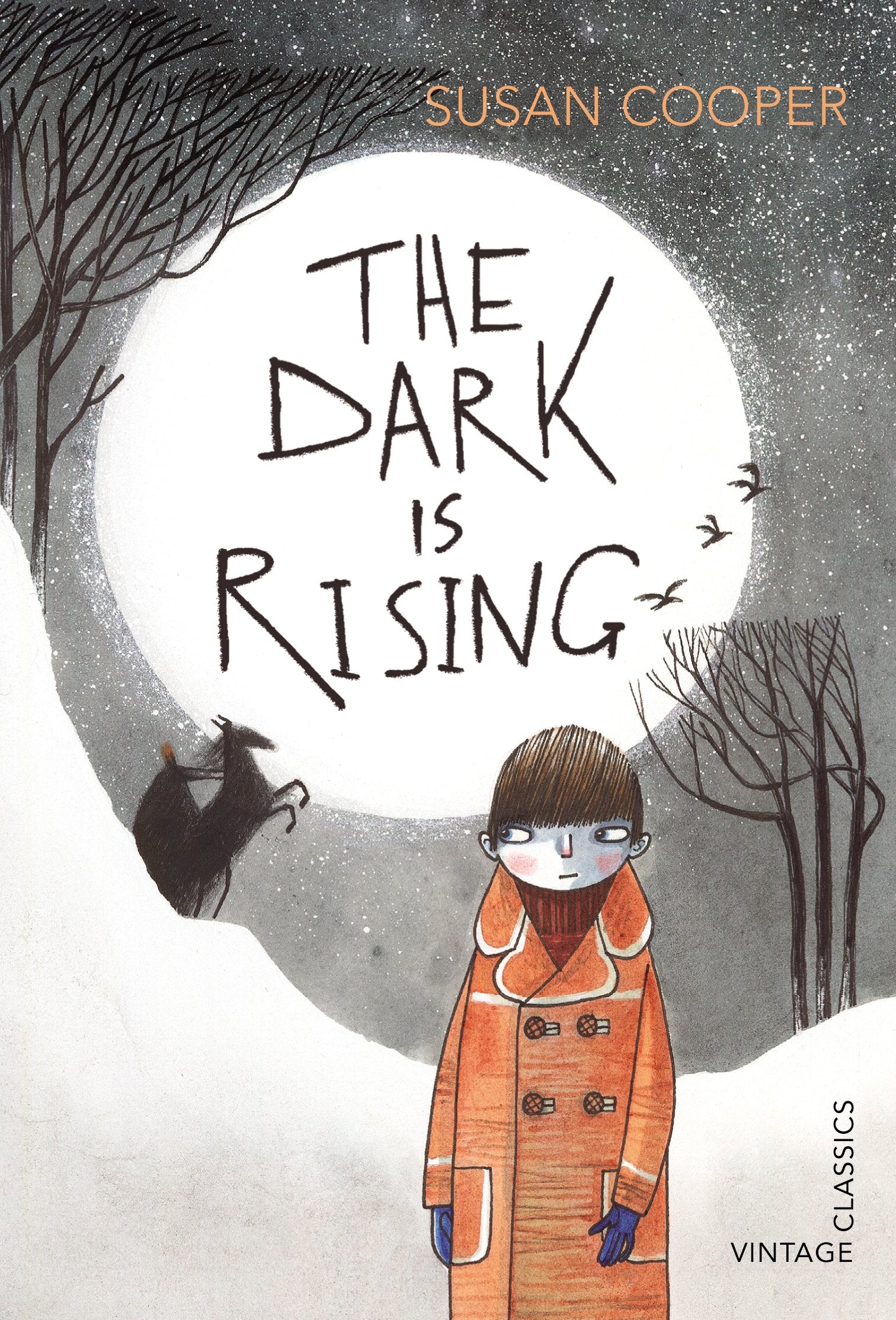 The Dark is Rising Fiction books for children