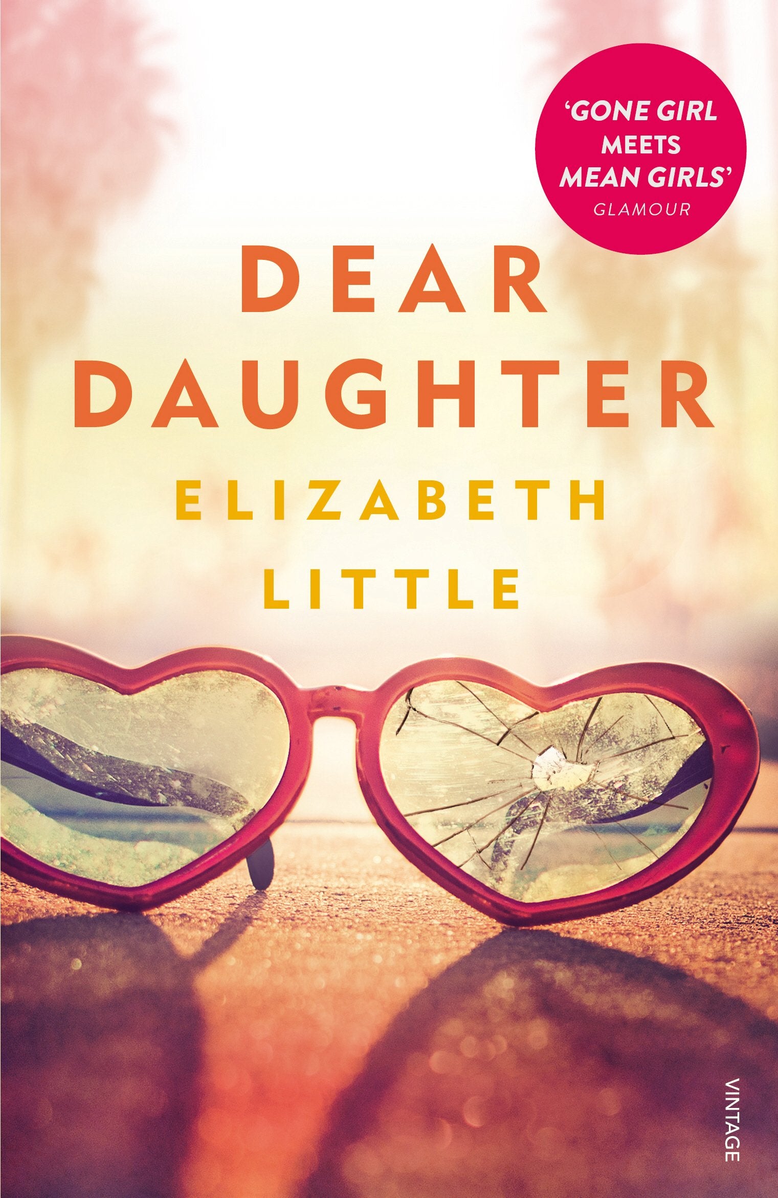 Dear Daughter Contemporary literature Books