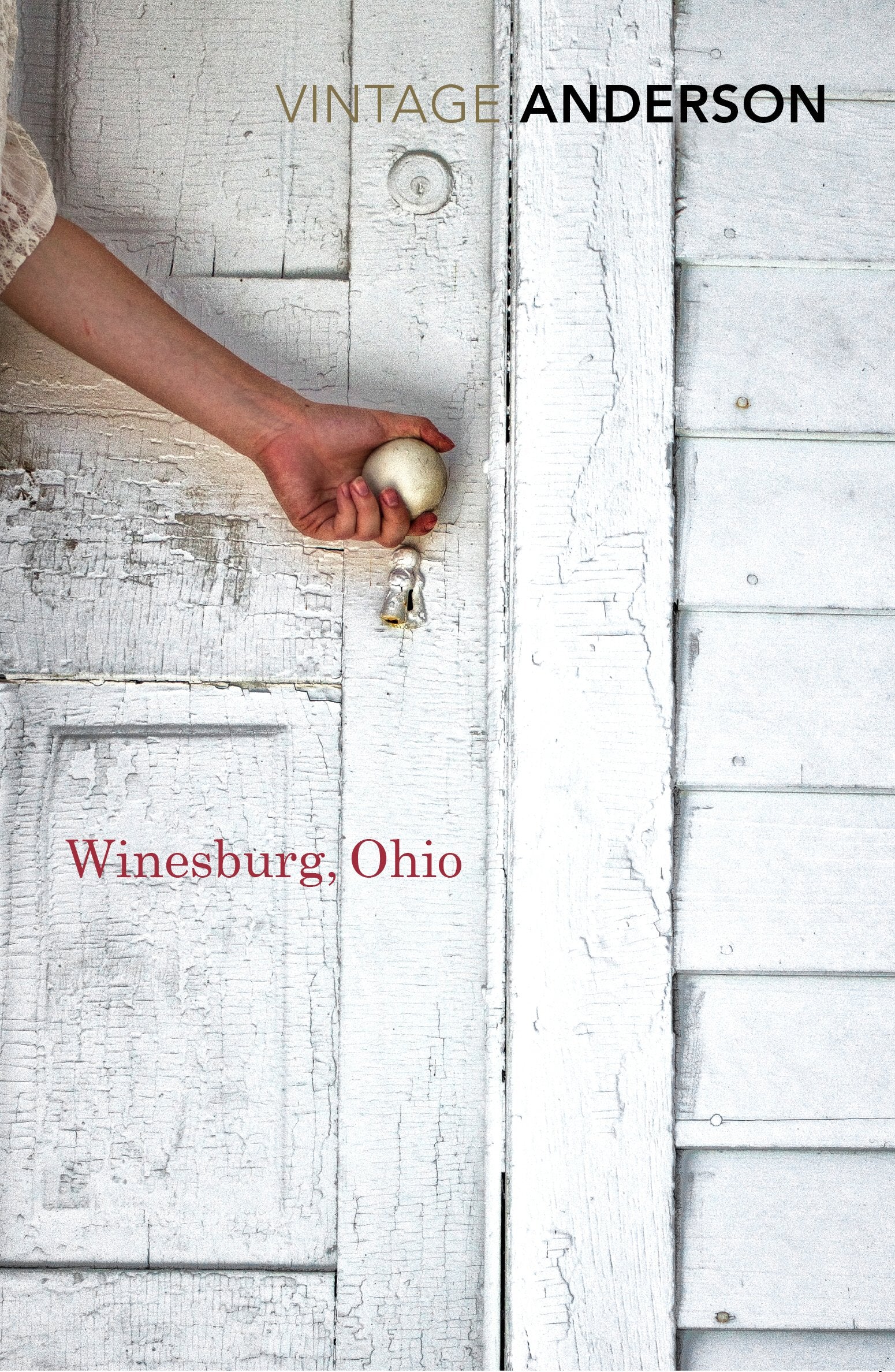 Winesburg, Ohio Essays & Short Stories