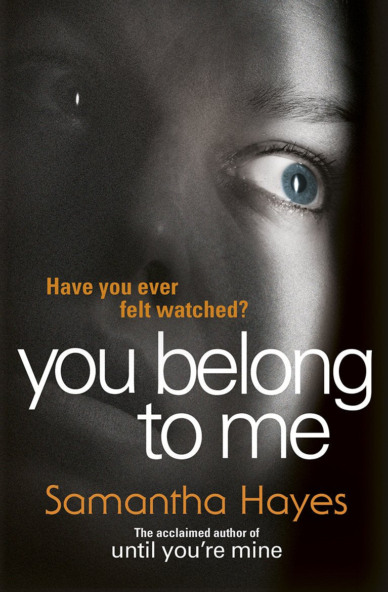 You Belong To Me: Have you ever felt watched? Contemporary literature
