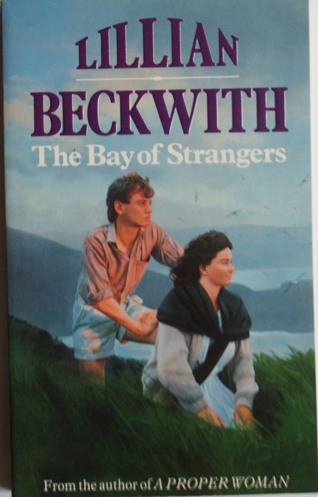 The Bay of Strangers book