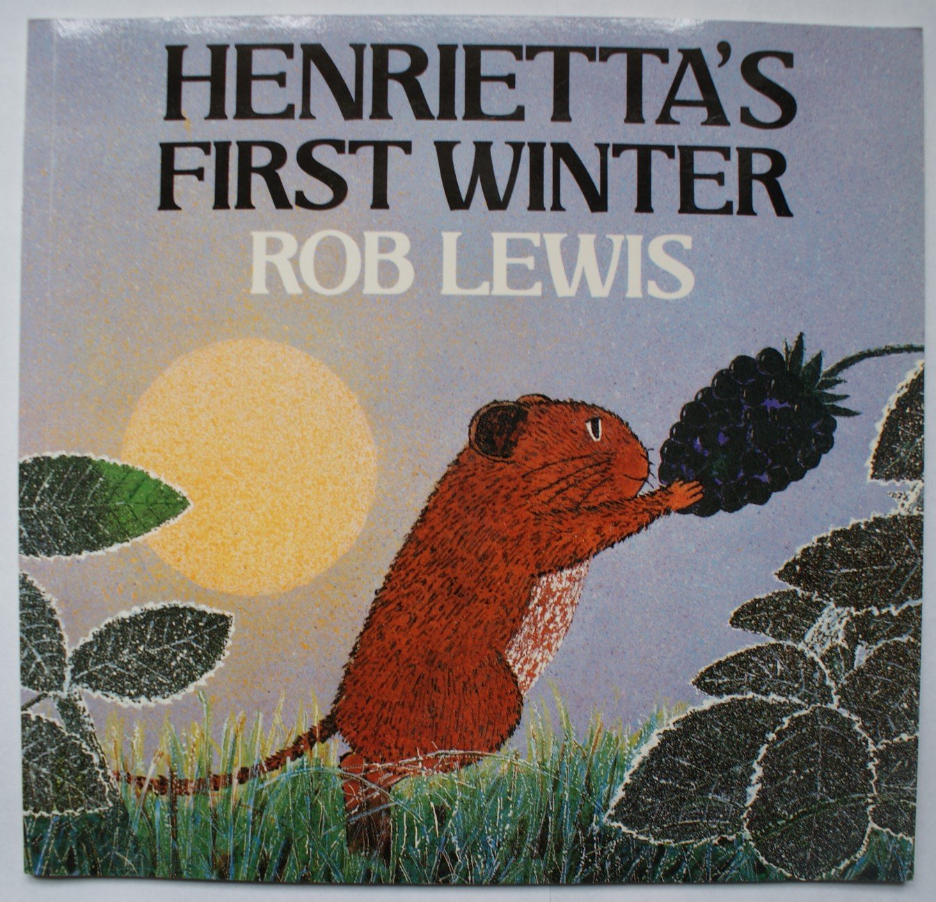 Henrietta's First Winter (Red Fox picture books) Novels & Short Stories