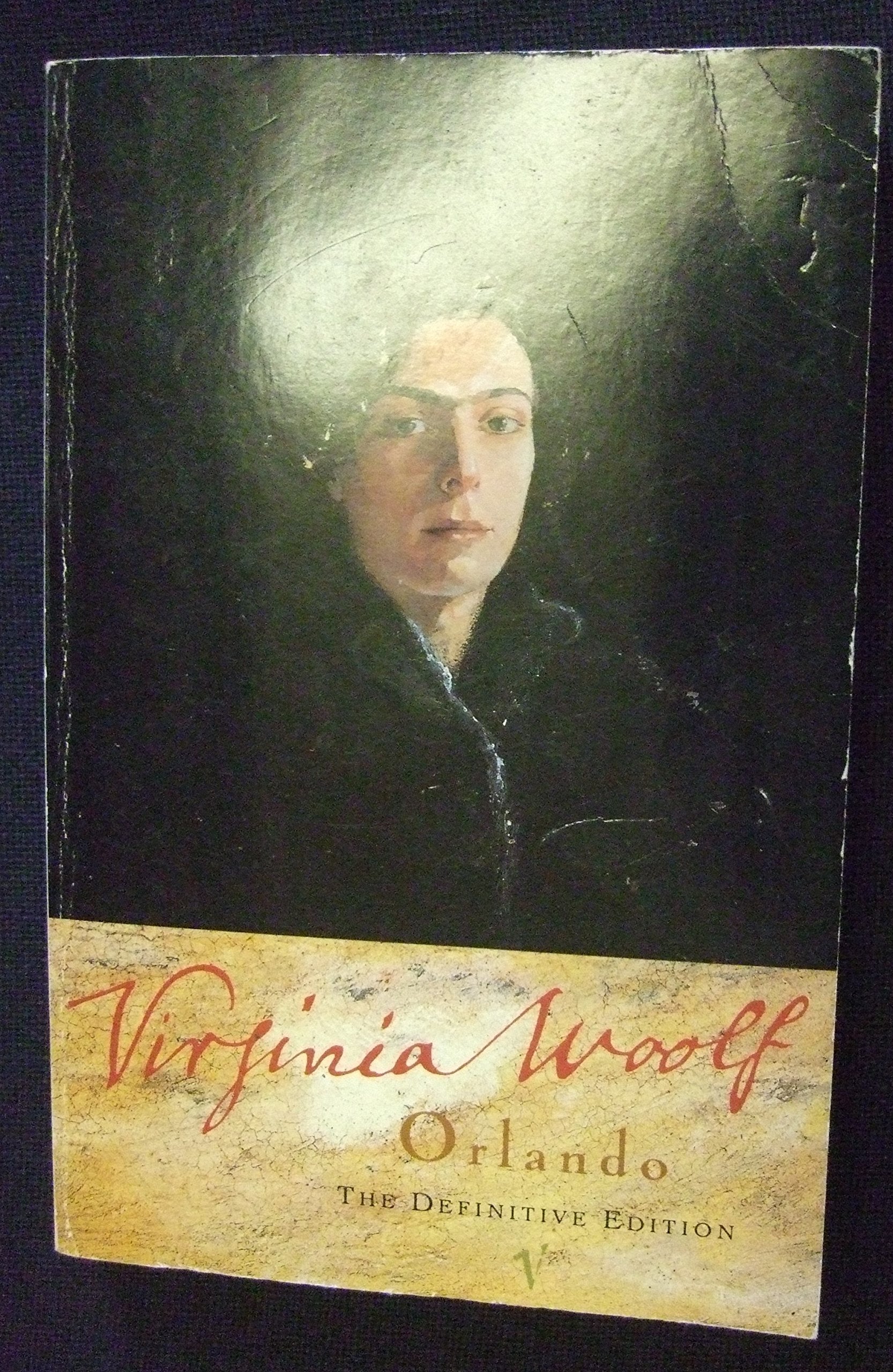 Product Image: Orlando: A Biography (Vintage classics)