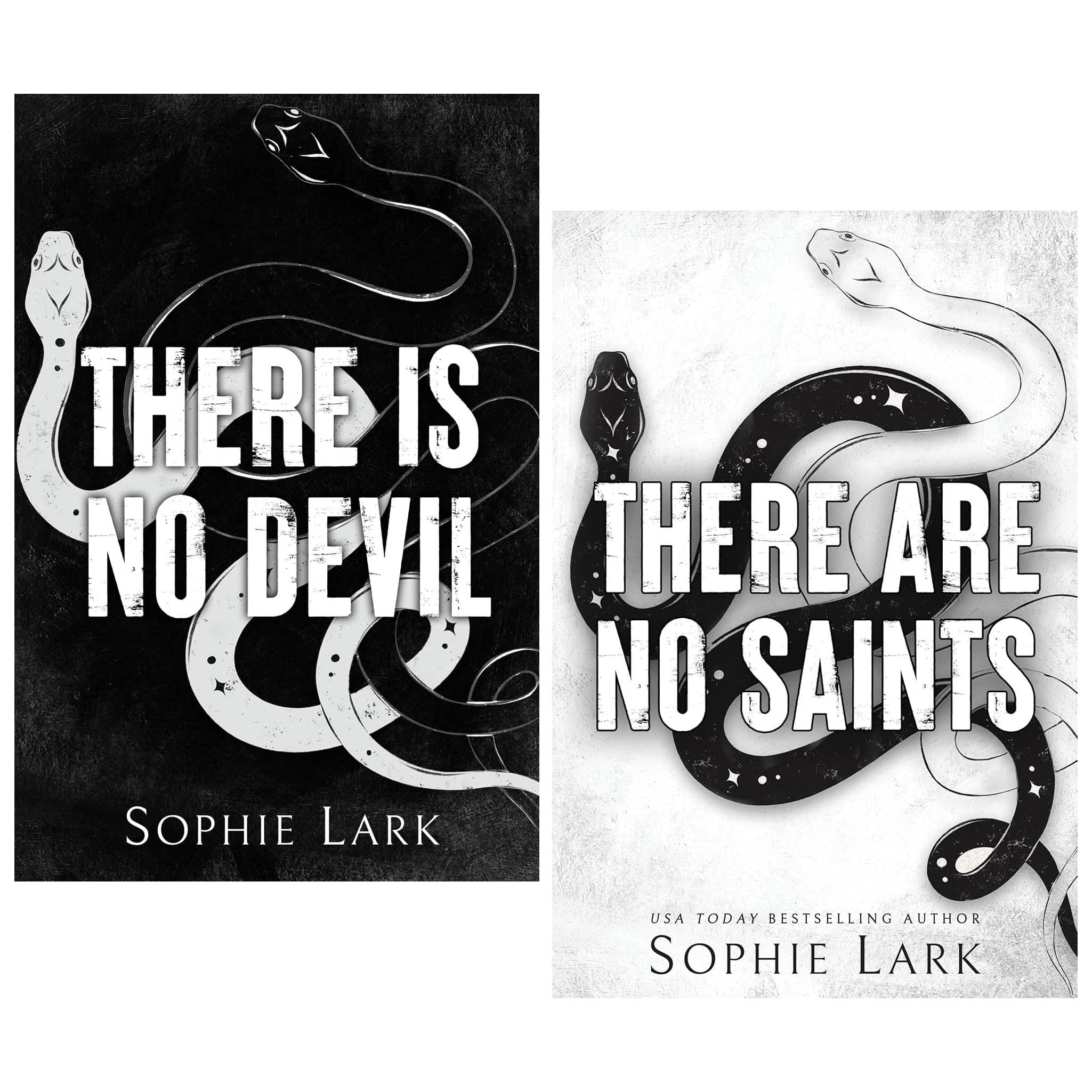 Sinners Duet Series 2 Books Collection Set (There Are No Saints & There Is No Devil) book