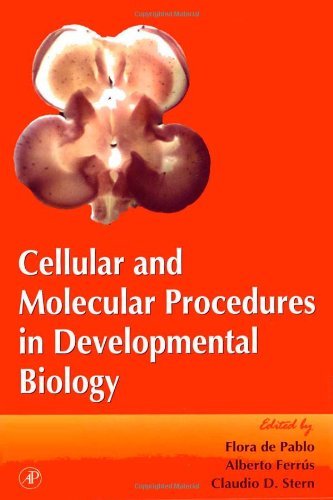 Cellular and Molecular Procedures in Developmental Biology (Volume 36) (Current Topics in Developmental Biology, Volume 36) Medicine