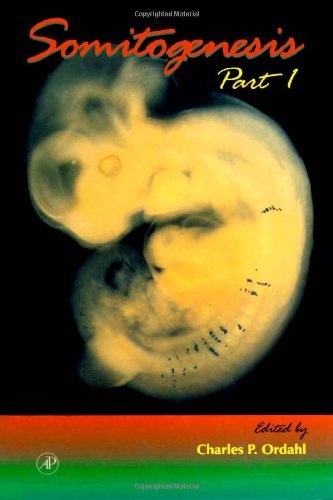 Somitogenesis, Part 1 (Volume 47) (Current Topics in Developmental Biology, Volume 47) Natural Sciences