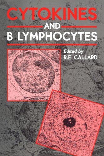 Product Image: Cytokines and B Lymphocytes
