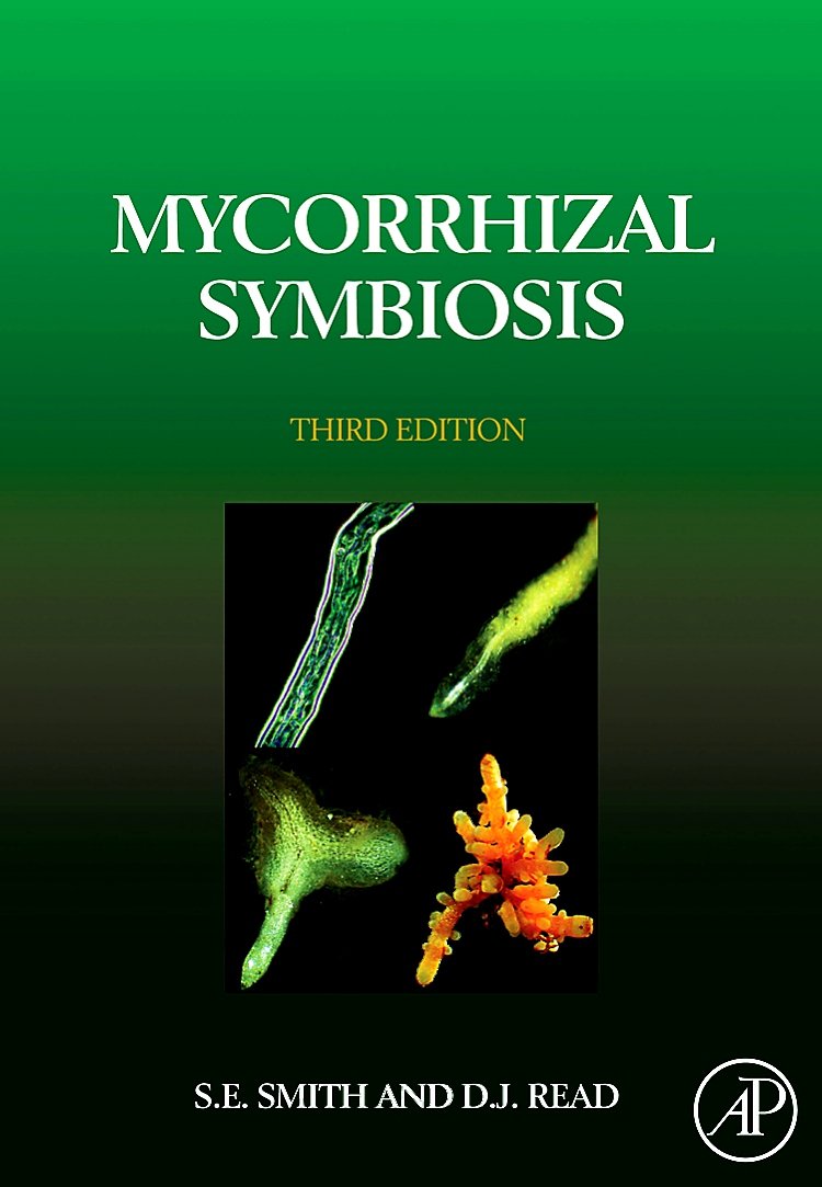 Mycorrhizal Symbiosis Medicine