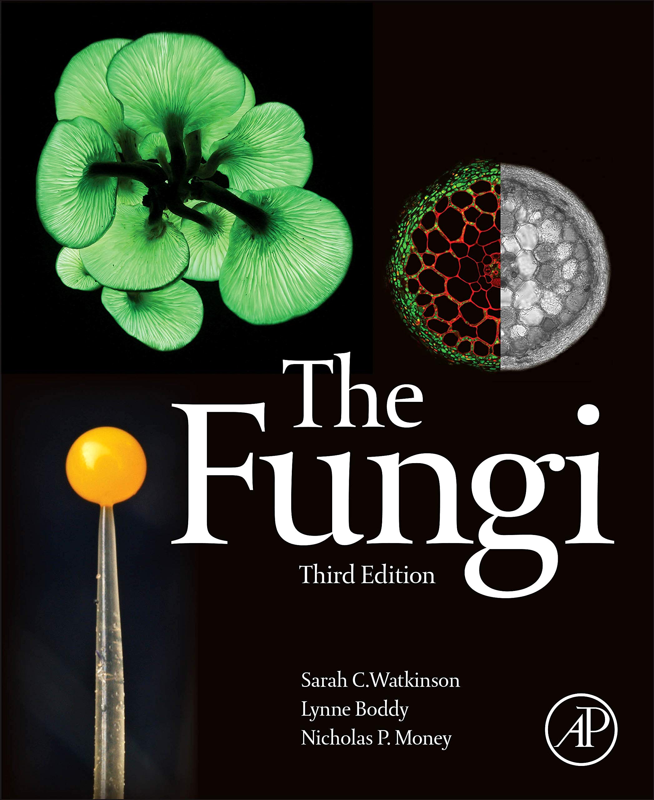 Product Image: The Fungi