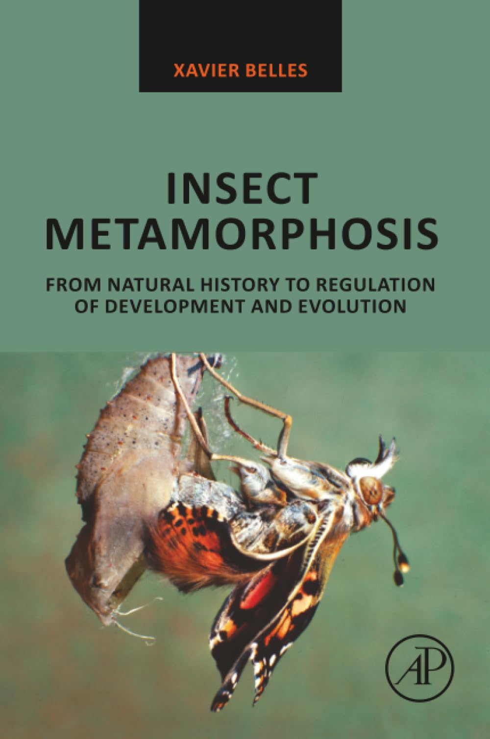 Insect Metamorphosis: From Natural History to Regulation of Development and Evolution Medicine