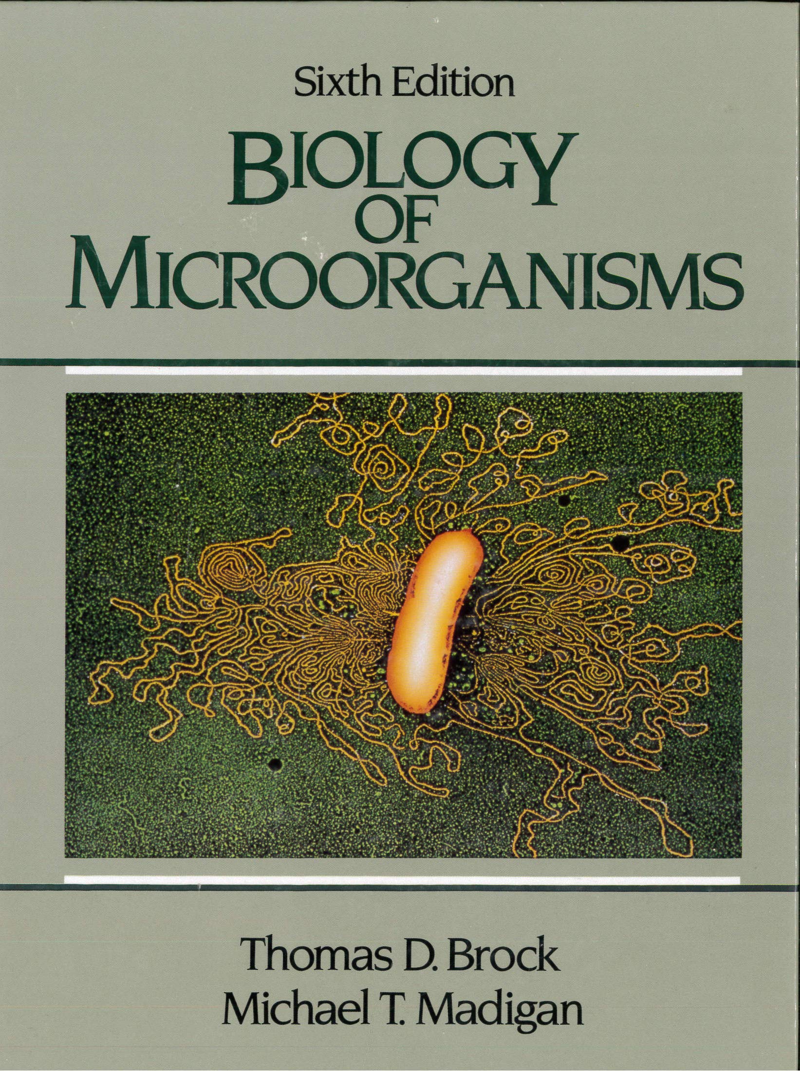 Product Image: Biology of Microorganisms