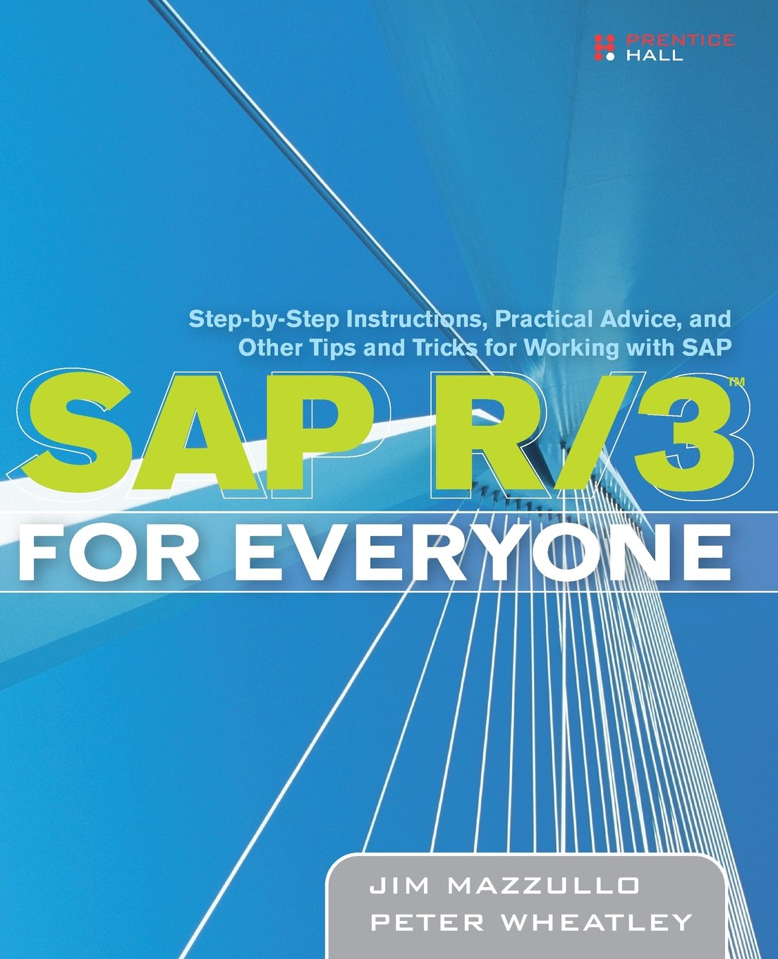 SAP R/3 for Everyone: Step-by-Step Instructions, Practical Advice, and Other Tips and Tricks for Working with SAP Business, Finance & Career