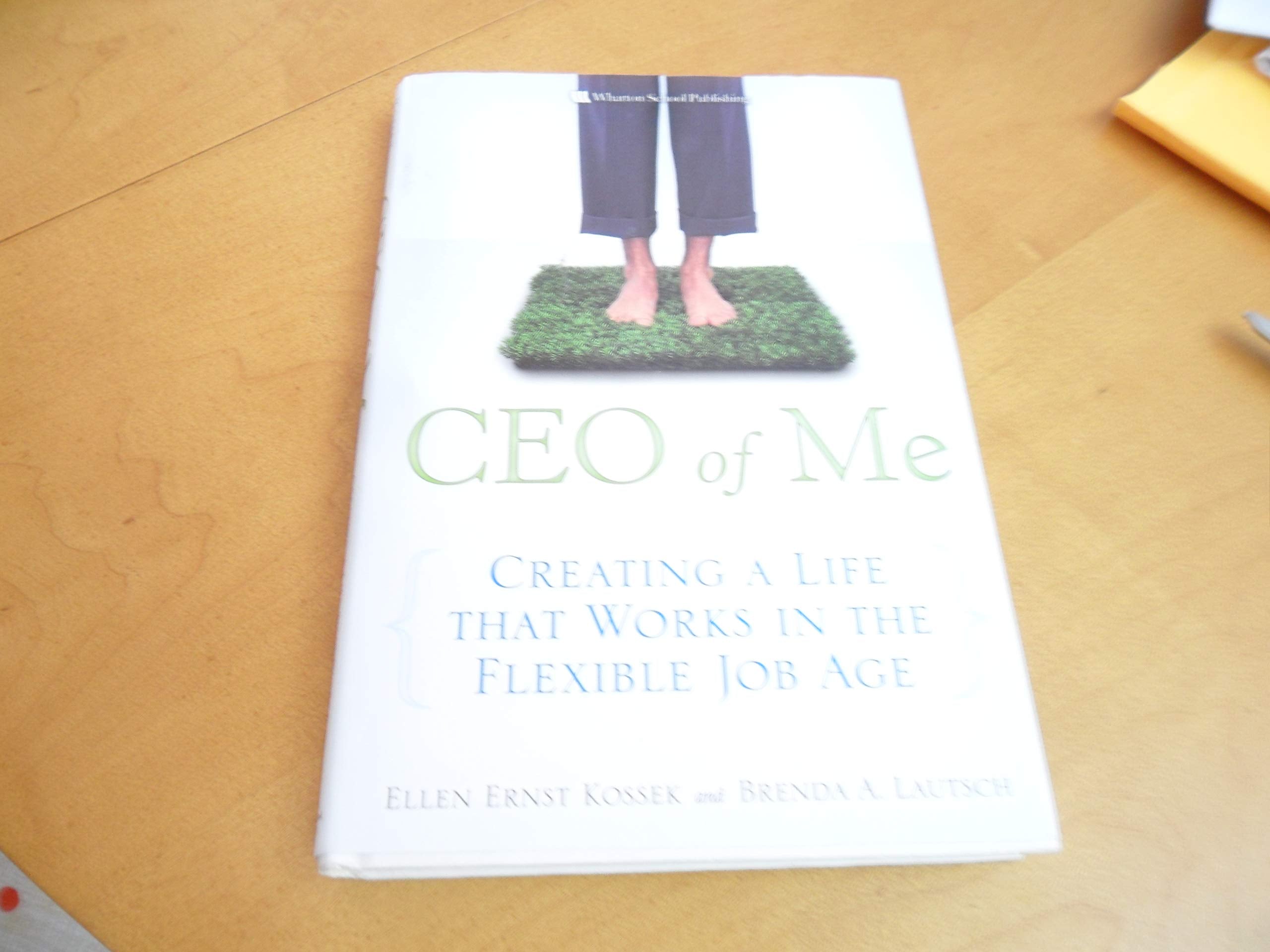 CEO of Me: Creating a Life that Works in the Flexible Job Age Business, Finance & Career