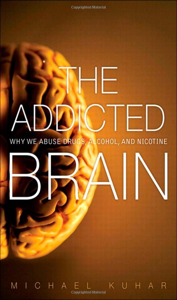 The Addicted Brain: Why We Abuse Drugs, Alcohol, and Nicotine (FT Press Science) Medicine