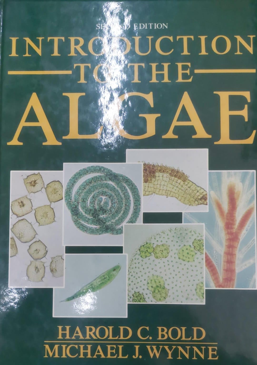 Introduction to the Algae Natural Sciences