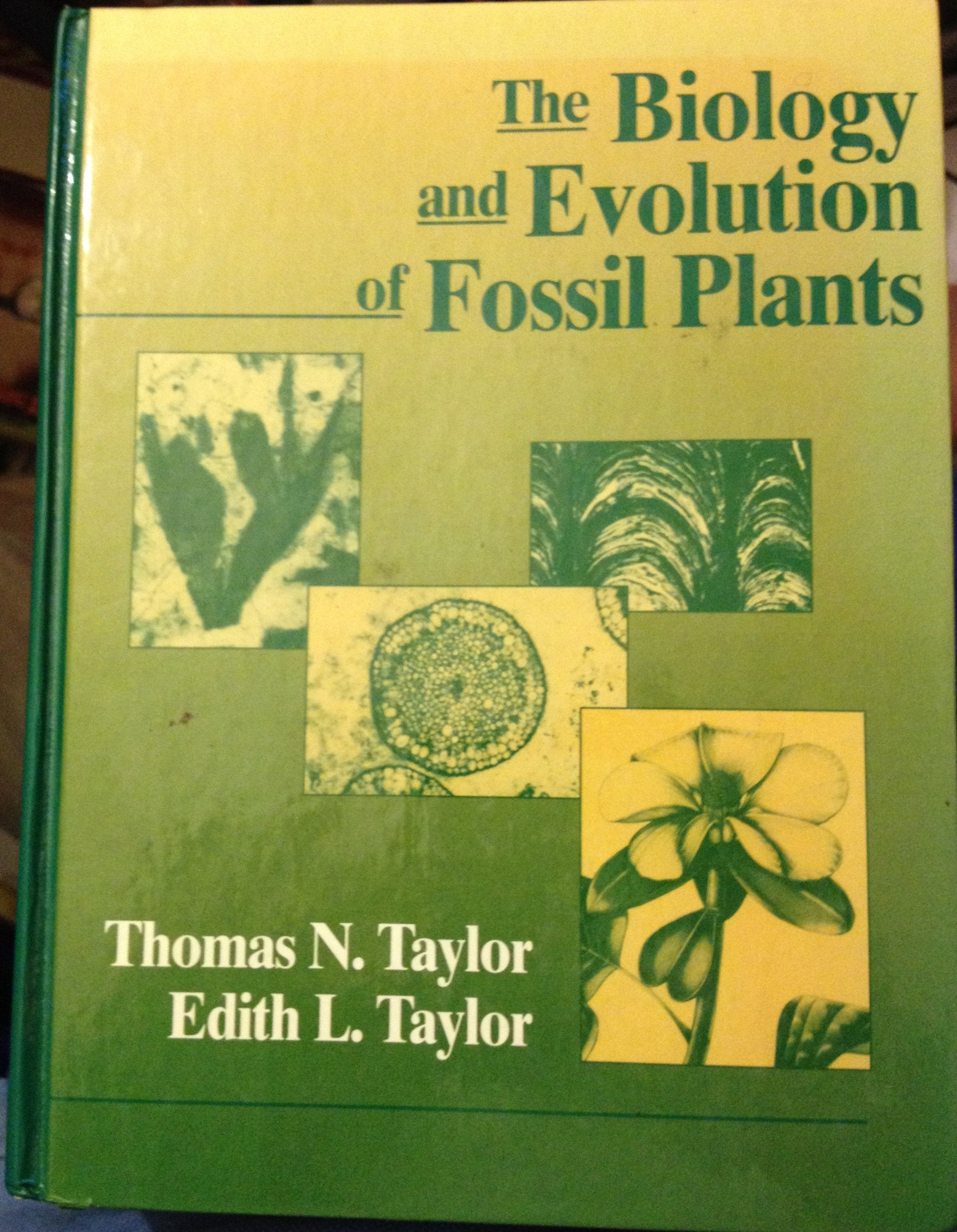 The Biology and Evolution of Fossil Plants book