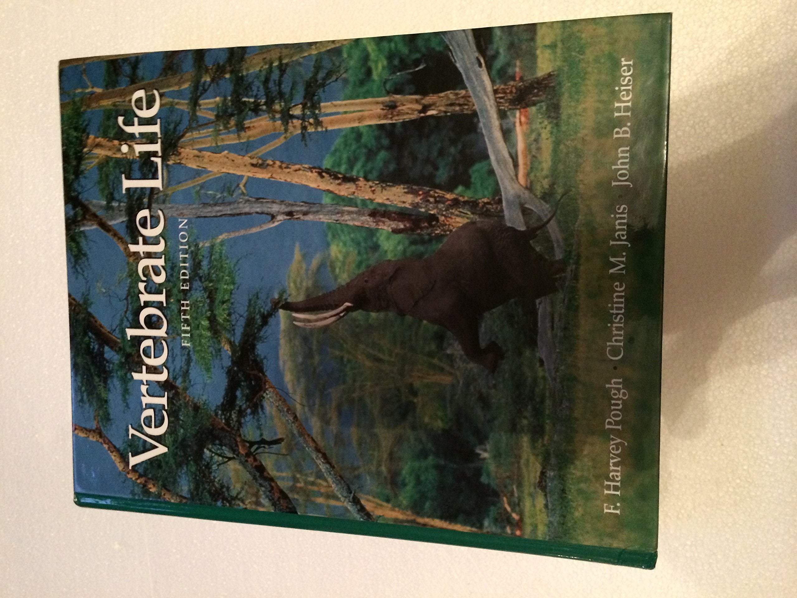 Product Image: Vertebrate Life