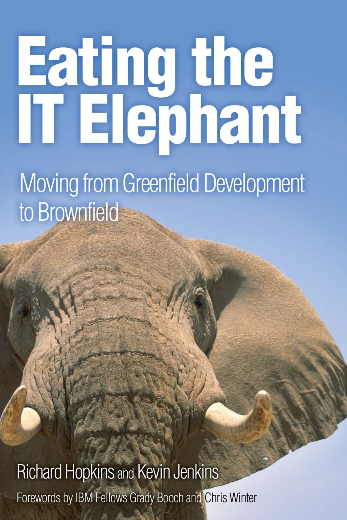 Eating the IT Elephant: Moving from Greenfield Development to Brownfield Business, Finance & Career