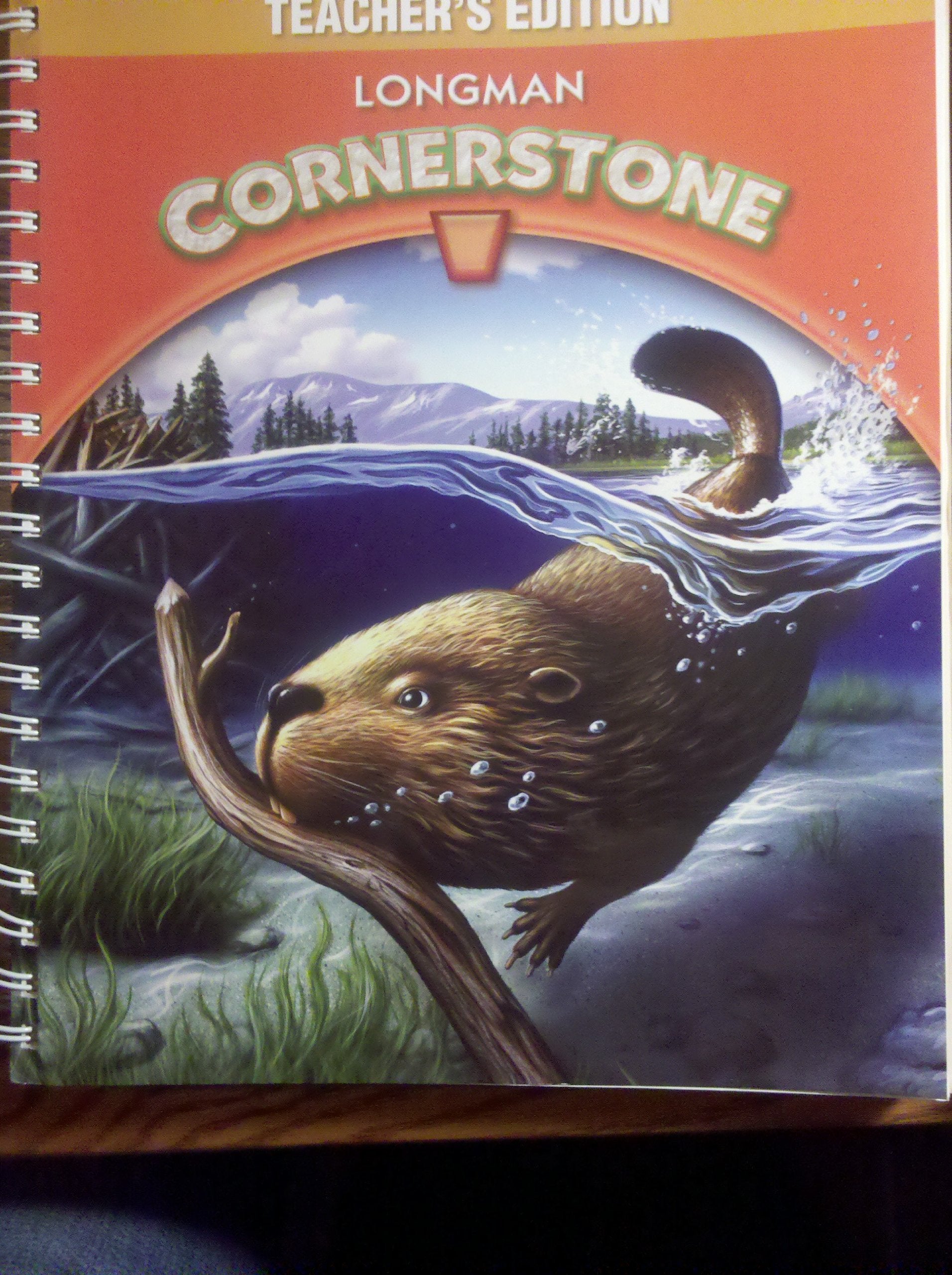 Longman Cornerstone B (Teacher's Edition) Books
