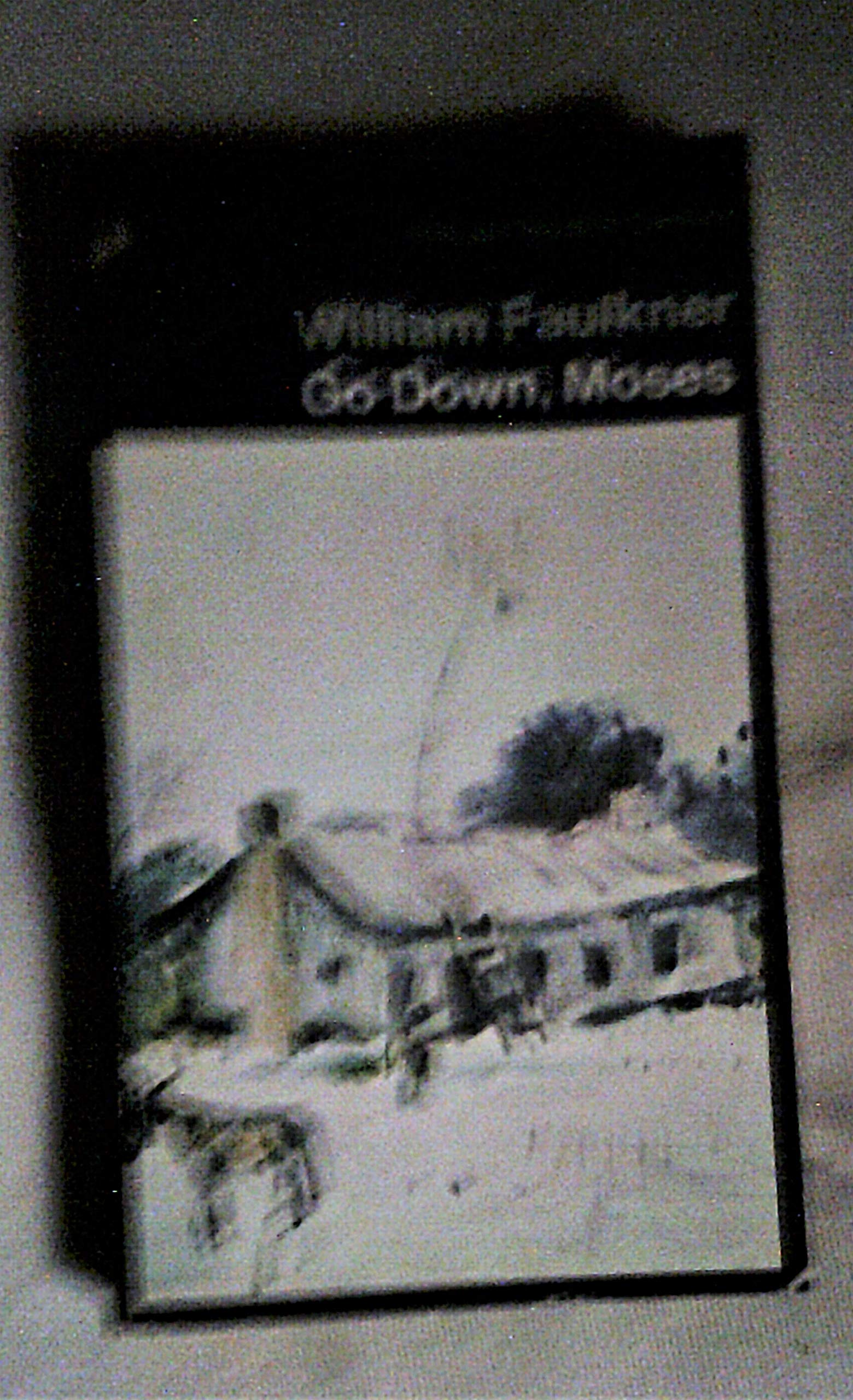 Go Down, Moses And Other Stories: Was; the Fire And the Hearth; Pantaloon in Black; the Old People; the Bear; Delta Autumn; Go Down Moses (Penguin Modern Classics) Contemporary literature