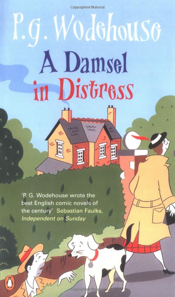 A Damsel in Distress Contemporary literature Books