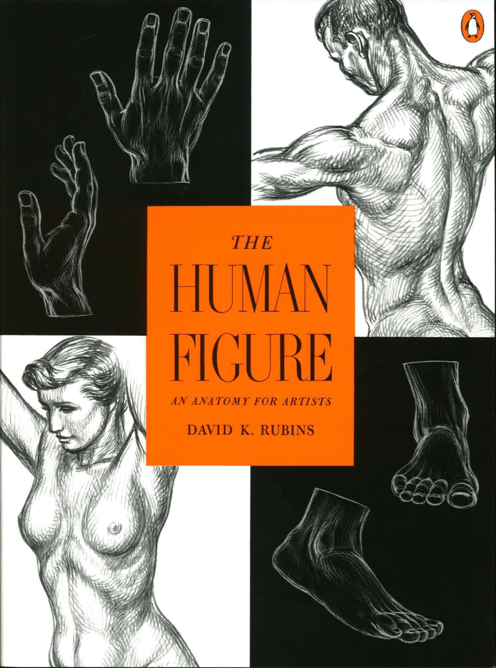 The Human Figure: An Anatomy For Artists book