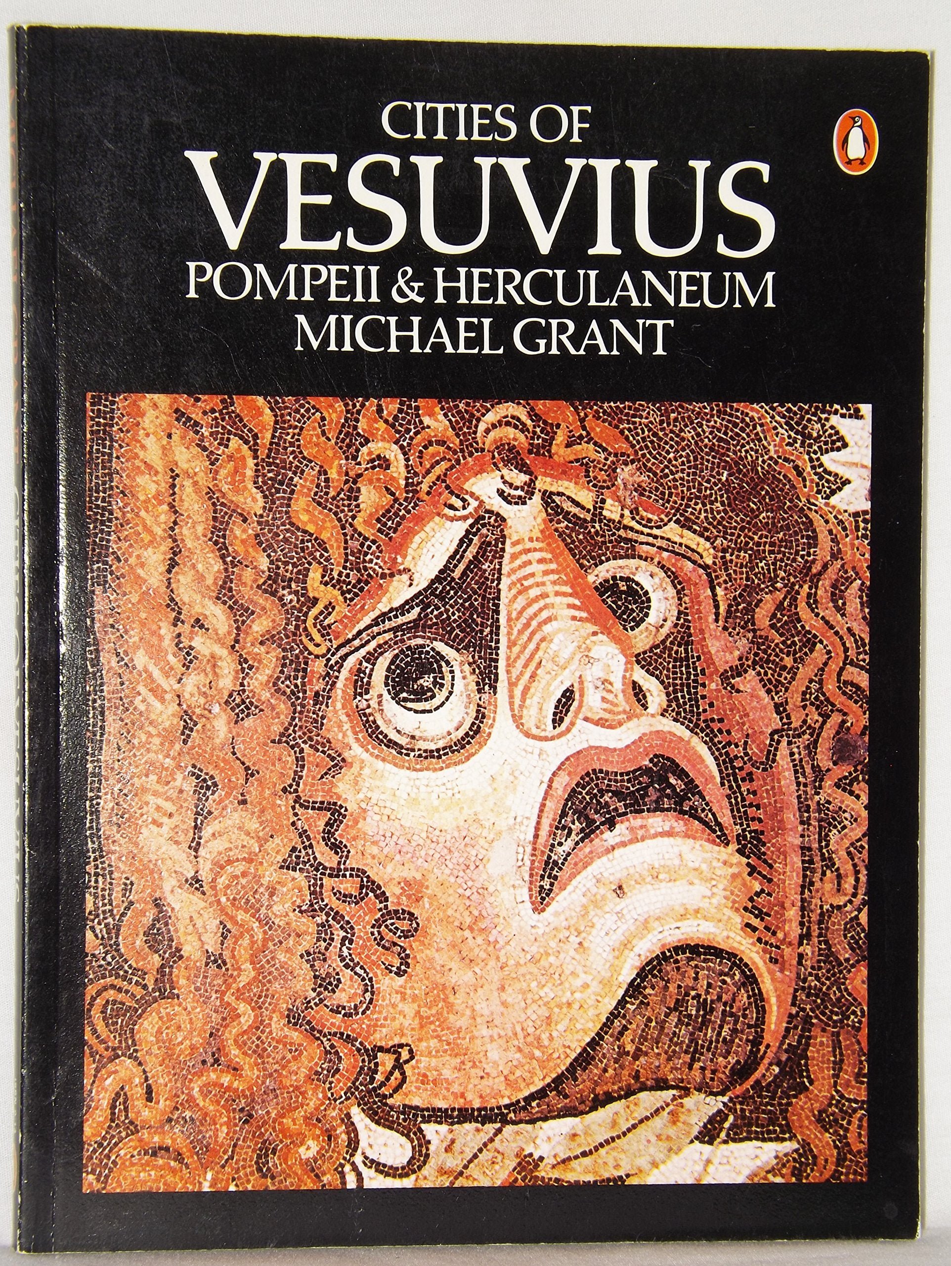 Cities of Vesuvius: Pompeii and Herculaneum book