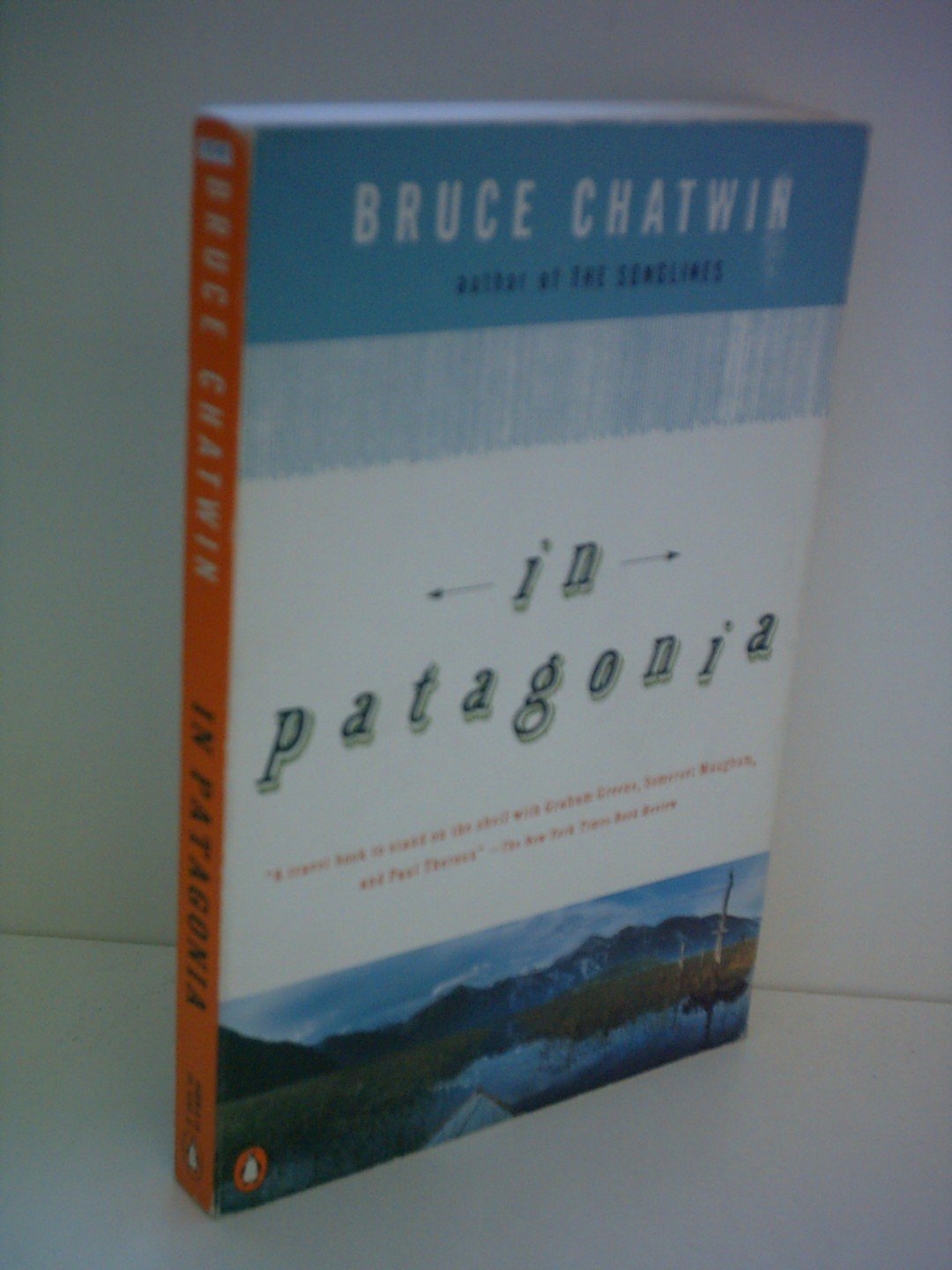 In Patagonia Contemporary literature