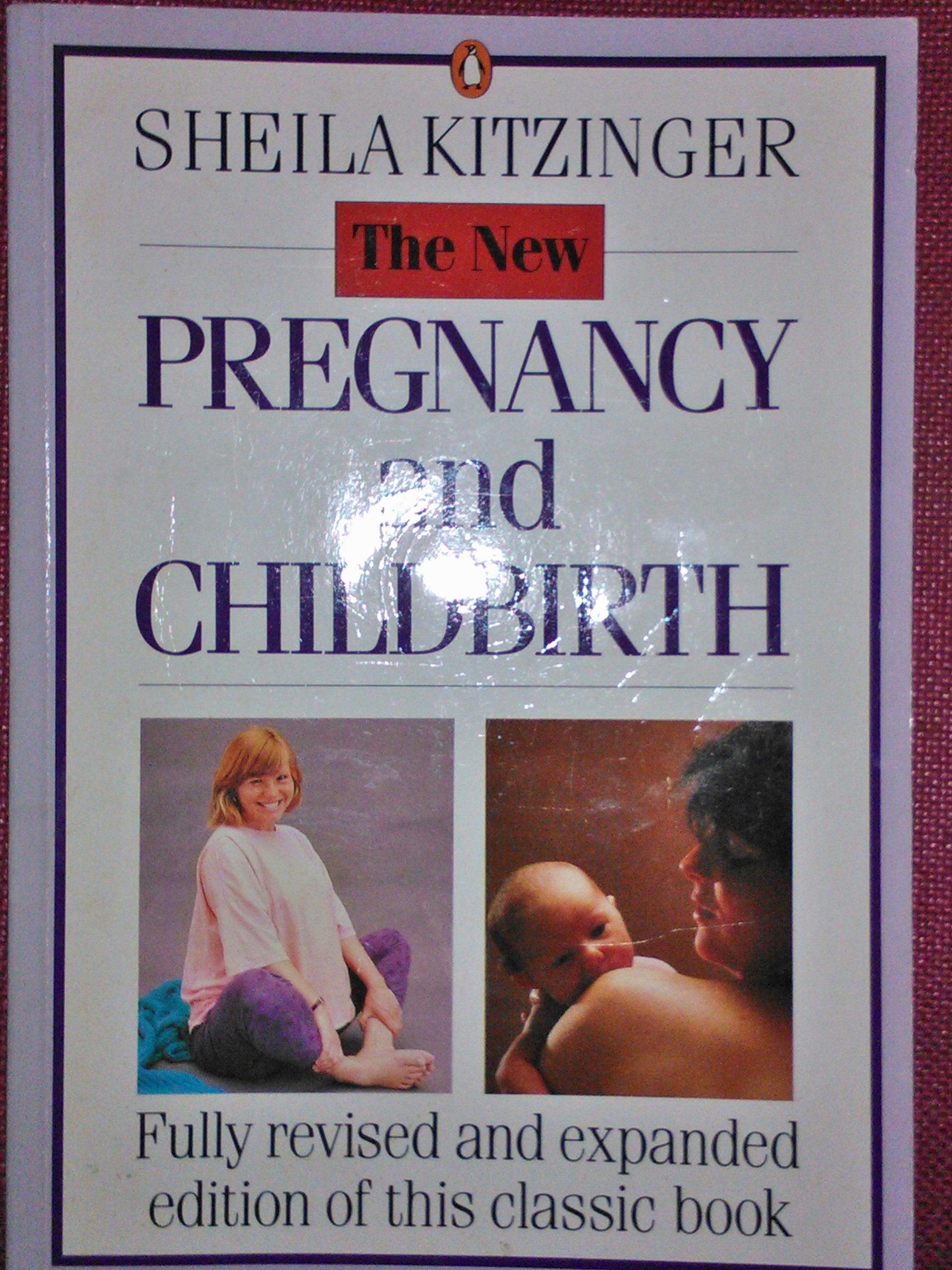 Product Image: Pregnancy And Childbirth