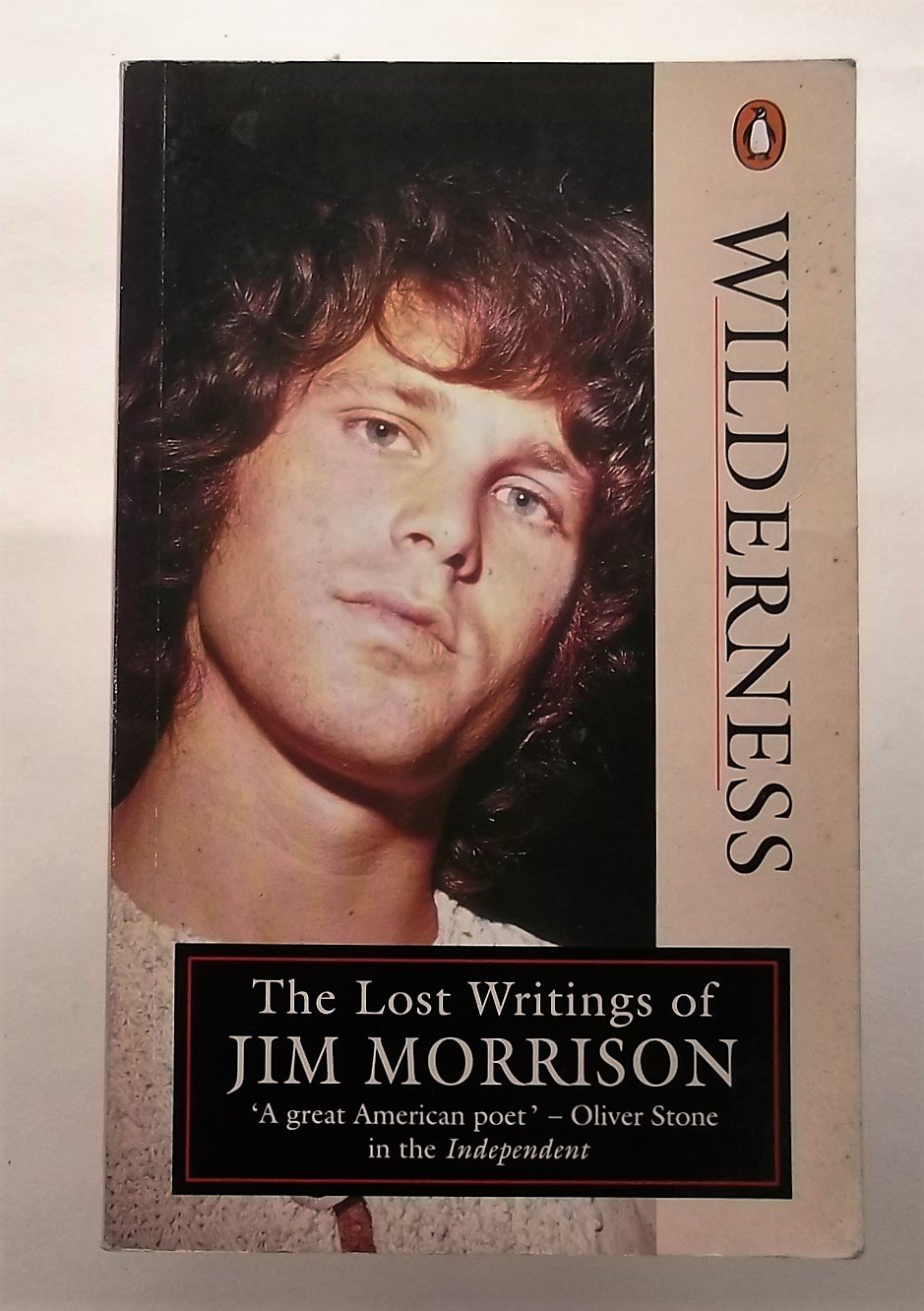 Wilderness: The Lost Writings of Jim Morrison Poetry