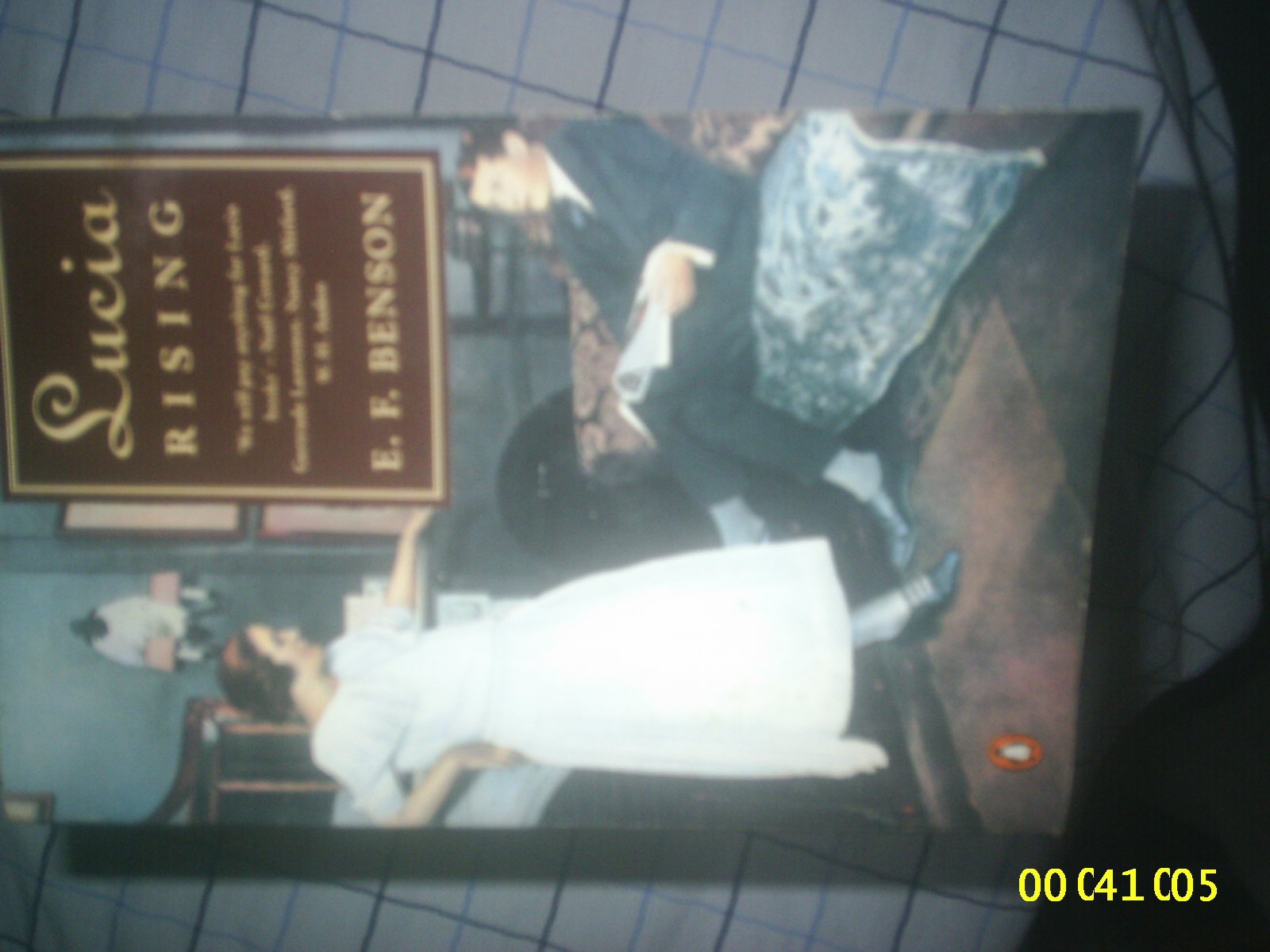 Lucia Rising Contemporary literature Books