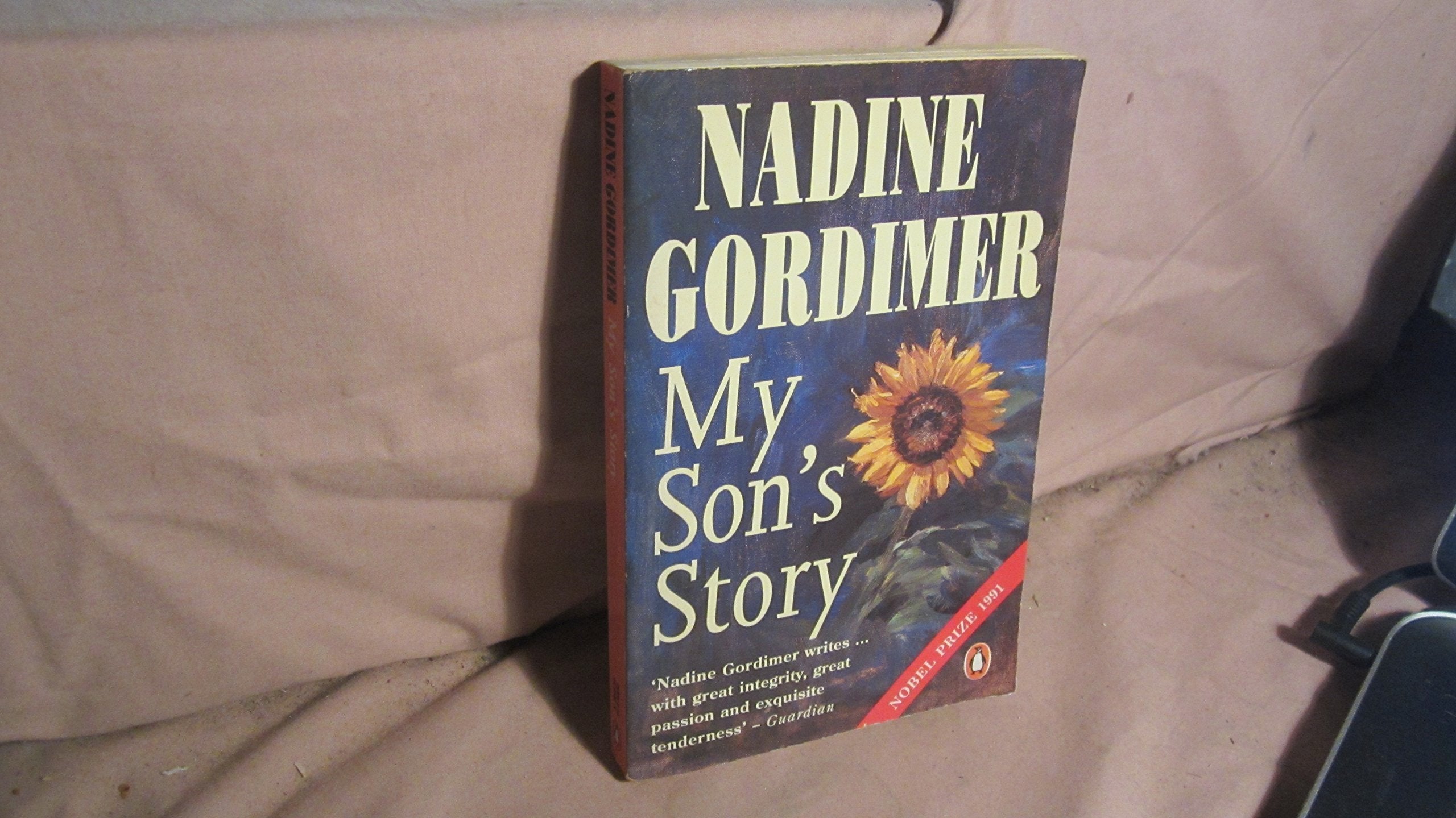Product Image: My Son's Story