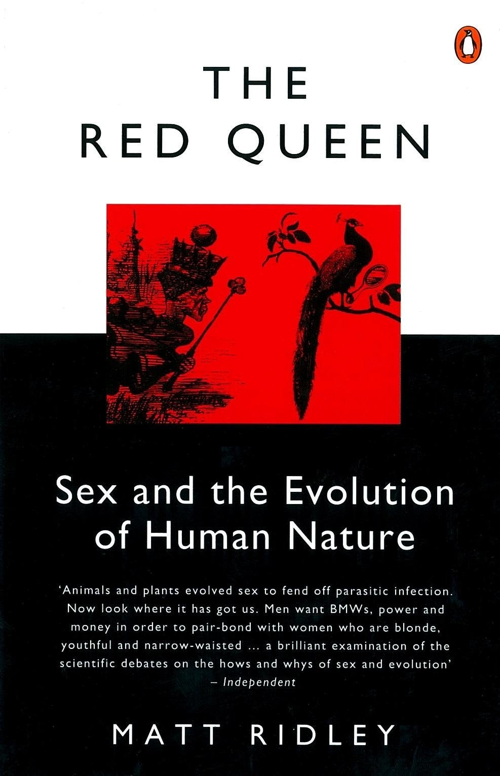 Product Image: The Red Queen