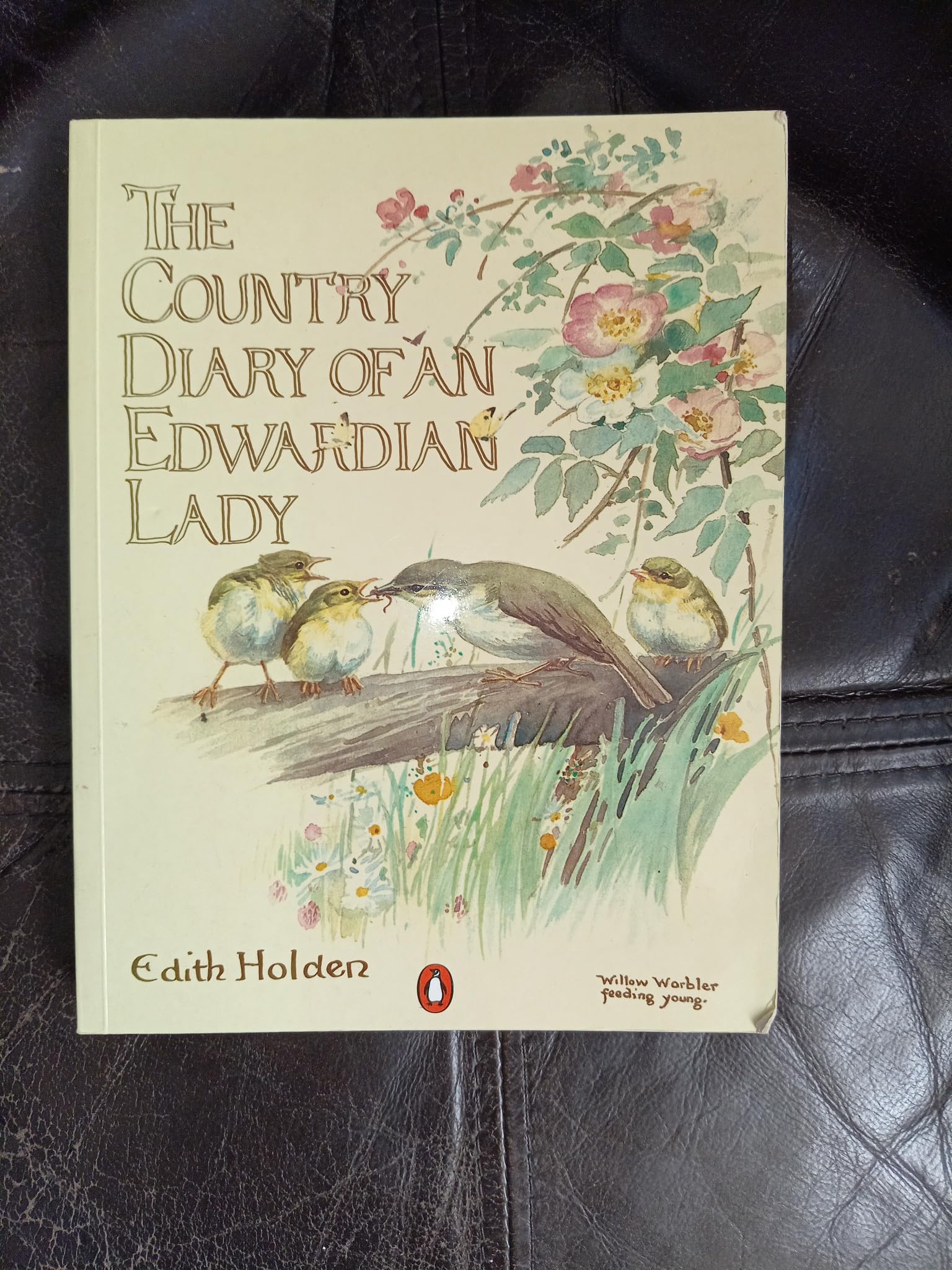 The Country Diary of an Edwardian Lady Memories