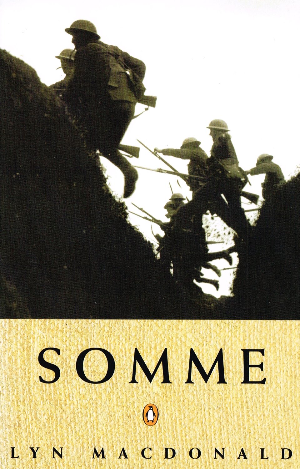 Somme Politics & History