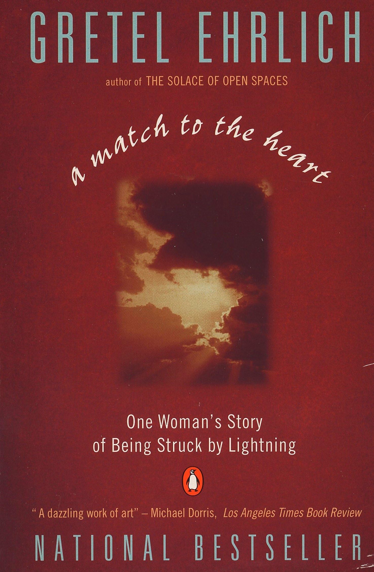 A Match to the Heart Books