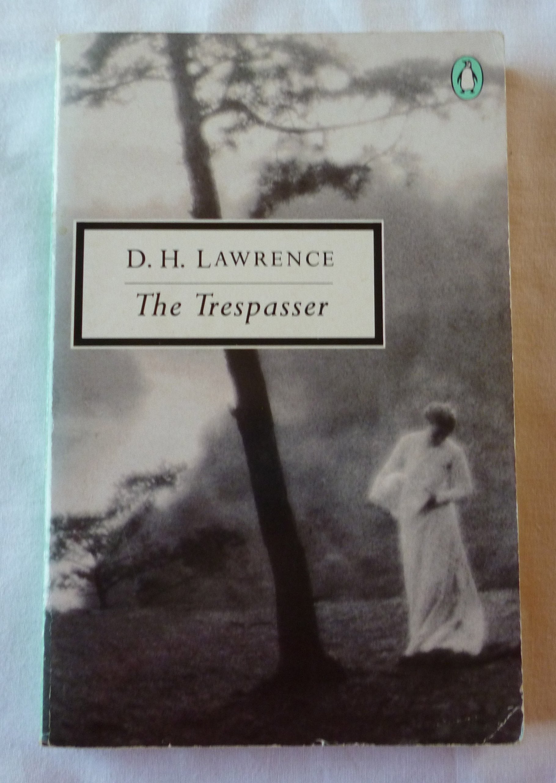 The Trespasser Contemporary literature Books
