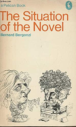The Situation of the Novel Books