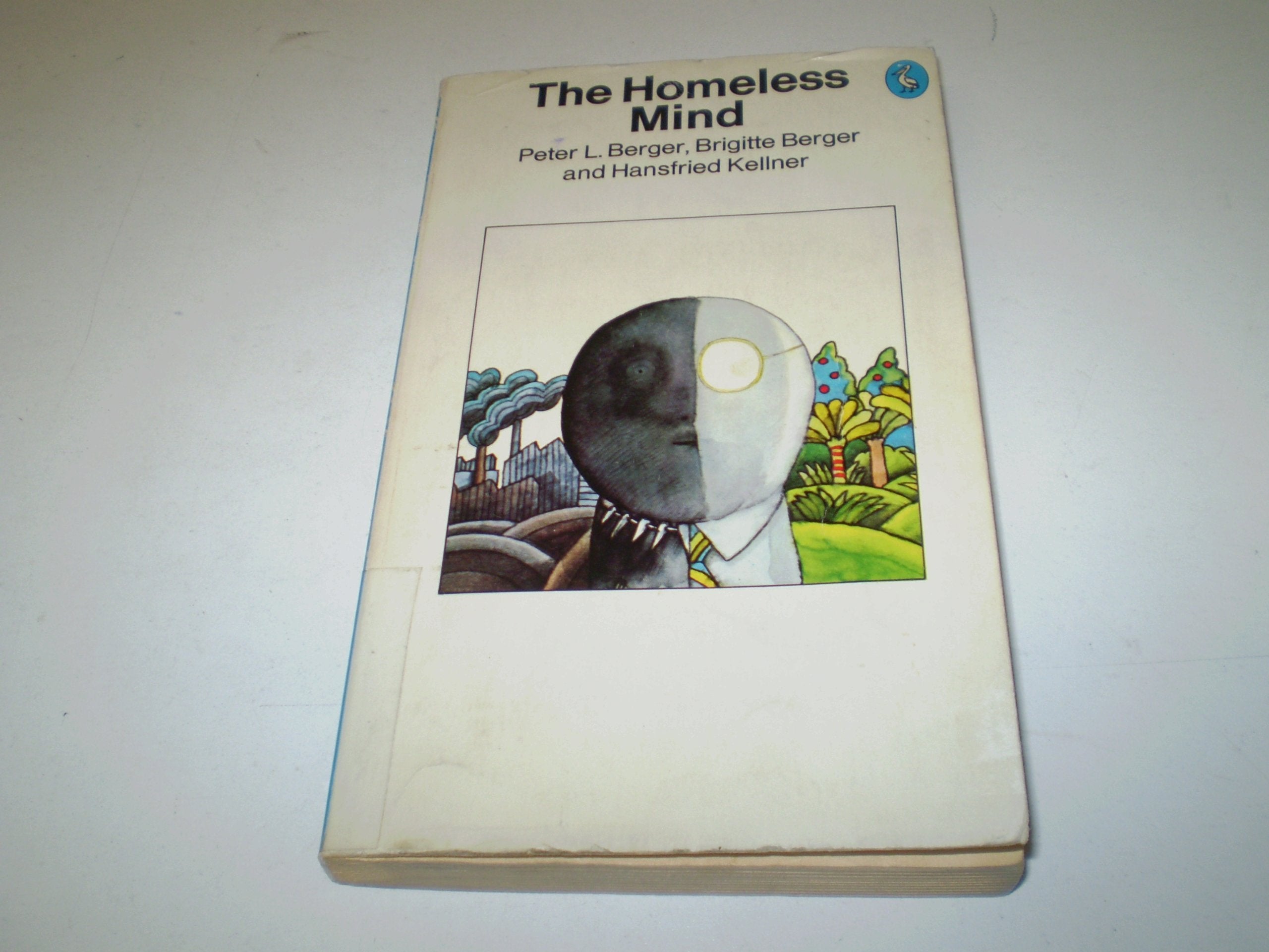 The Homeless Mind: Modernization And Consciousness book