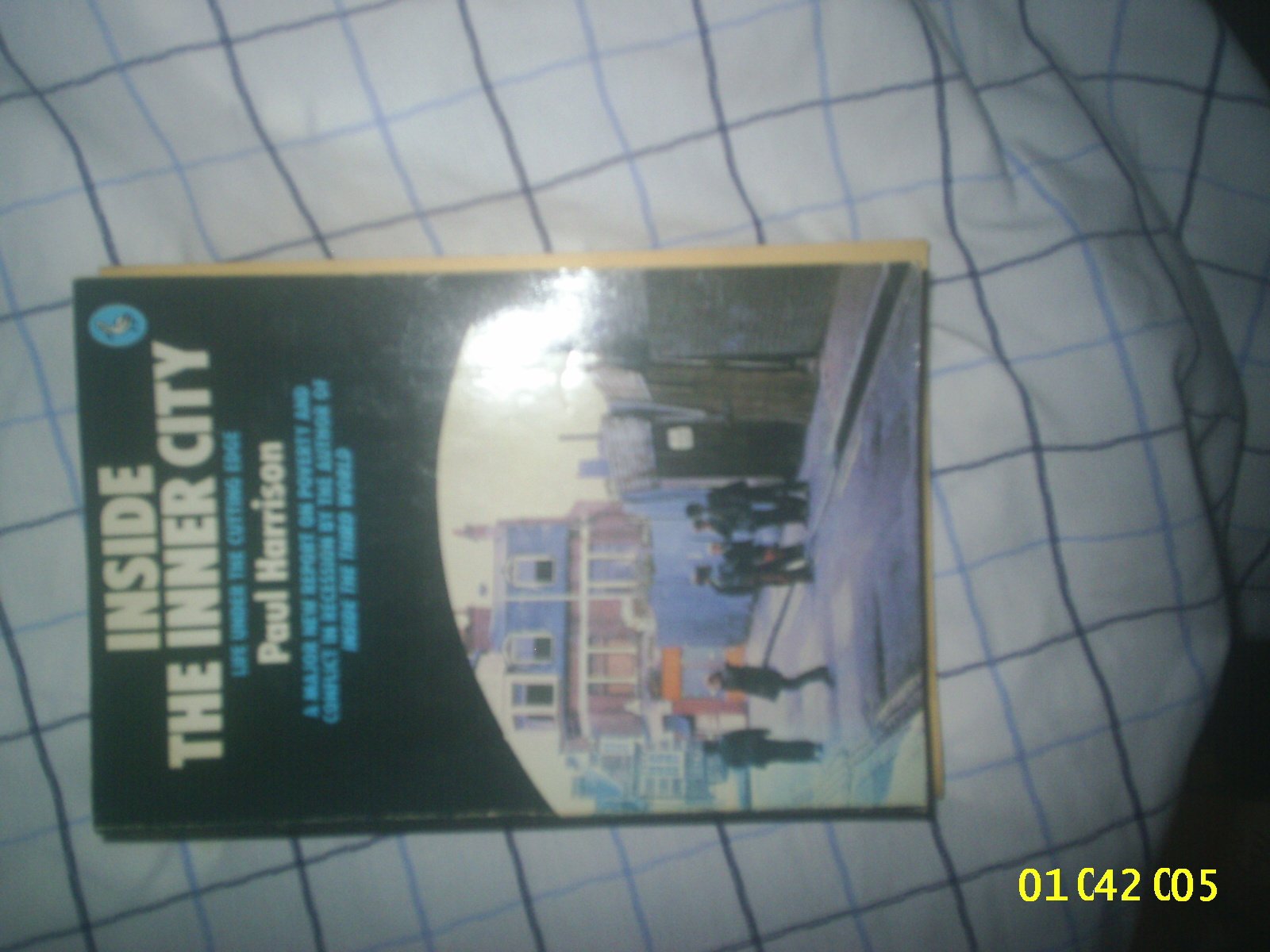 Inside the Inner City: Life Under the Cutting Edge (Pelican Books) Books